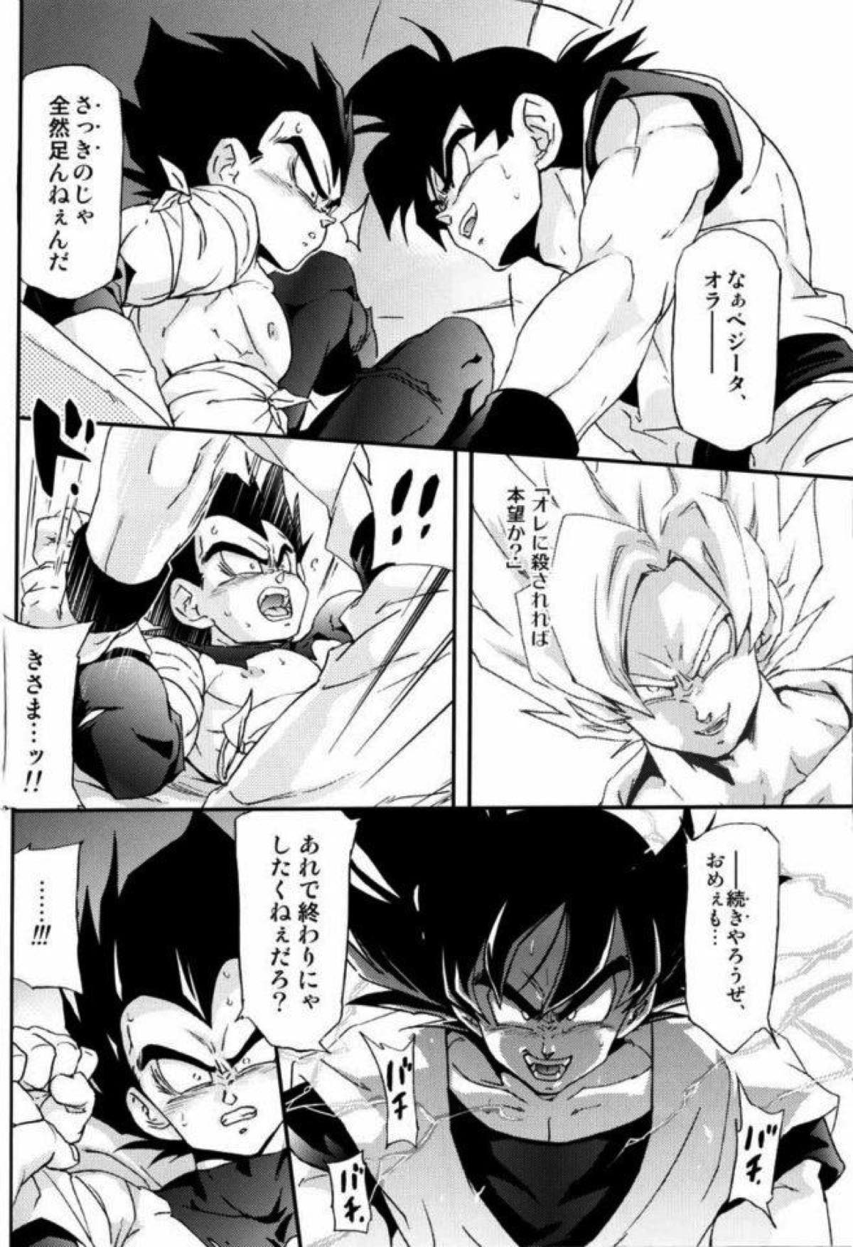 ケモノたちは故郷をめざす【ドラゴンボール/カカベジ】 page 18
