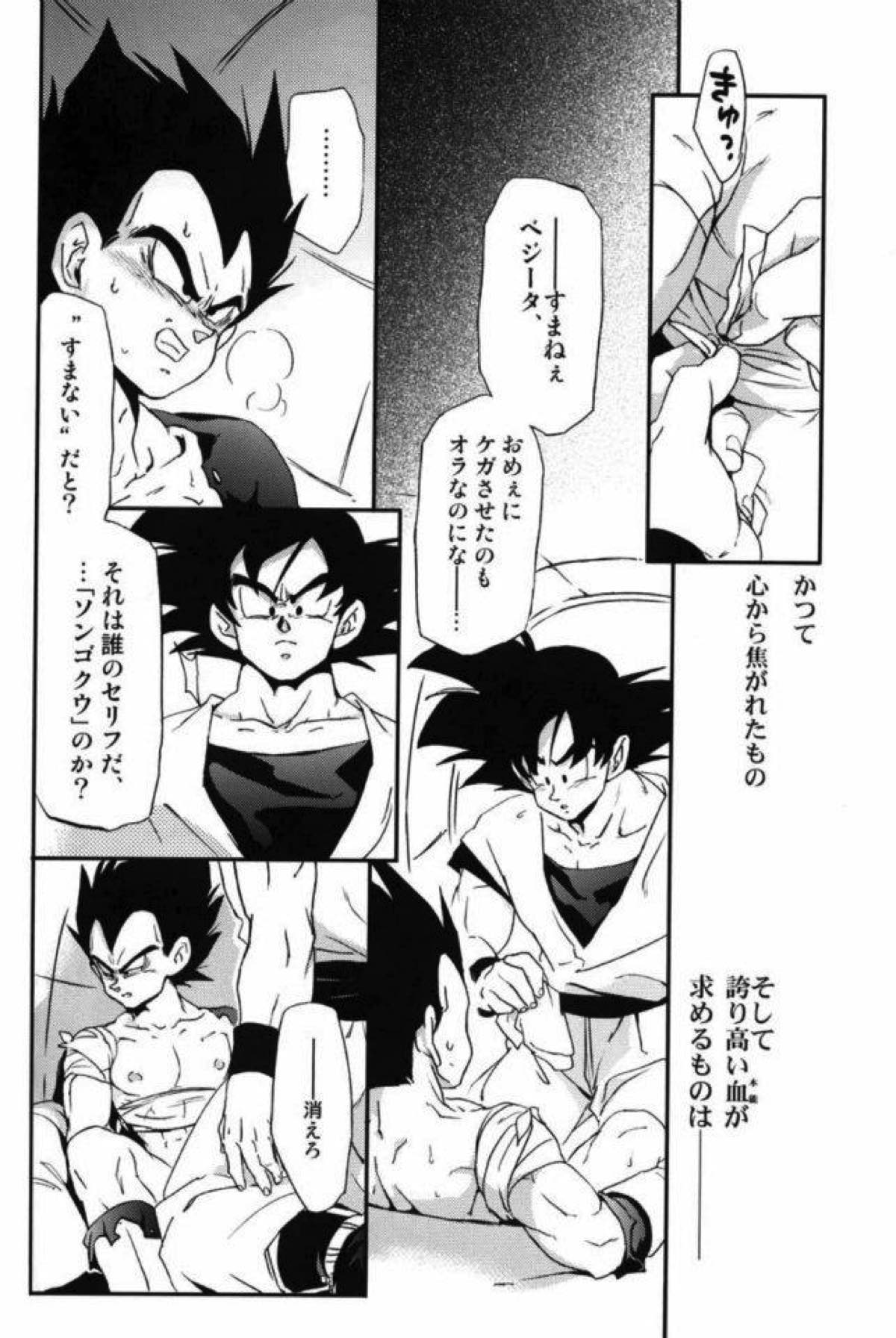 ケモノたちは故郷をめざす【ドラゴンボール/カカベジ】 page 25