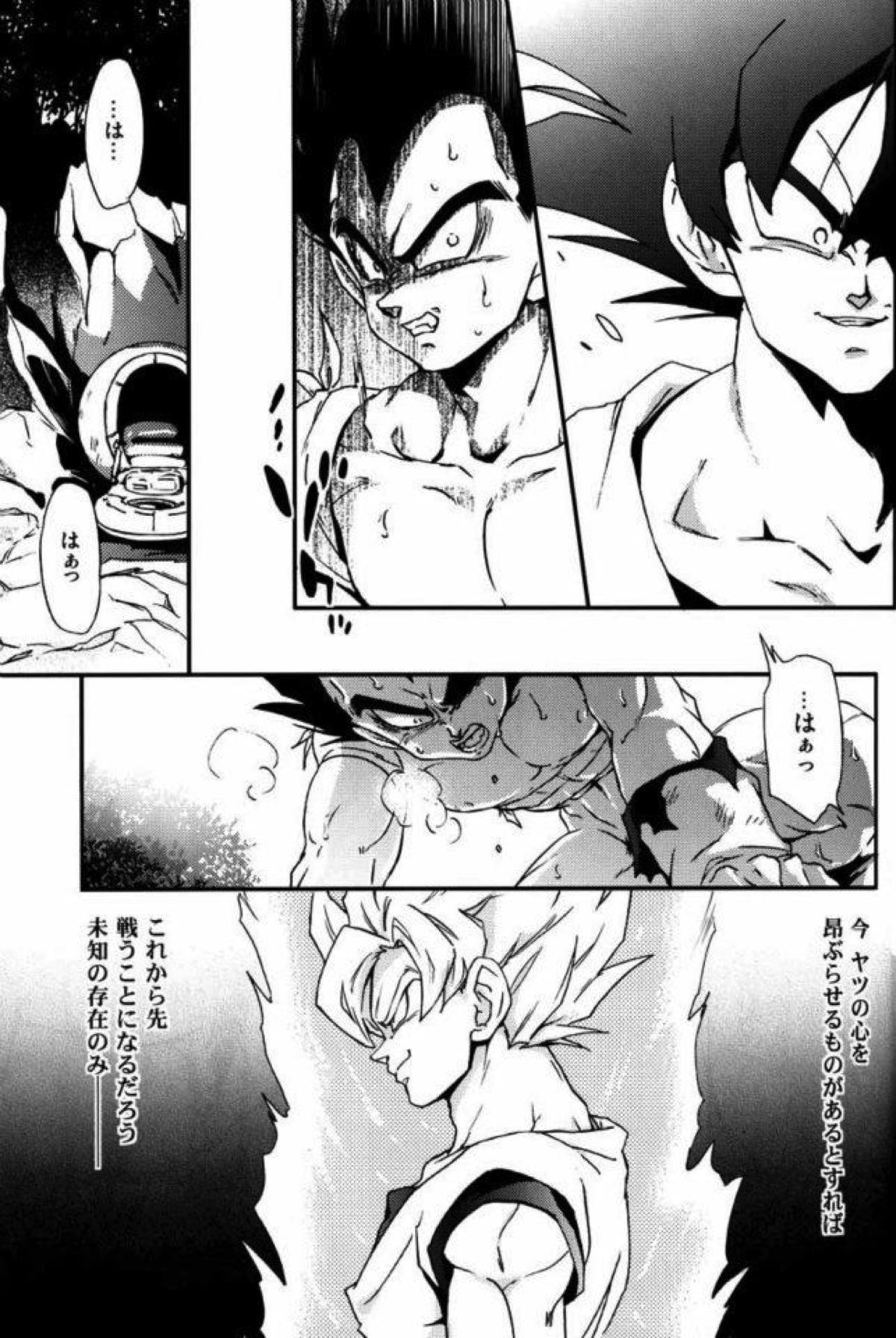 ケモノたちは故郷をめざす【ドラゴンボール/カカベジ】 page 26