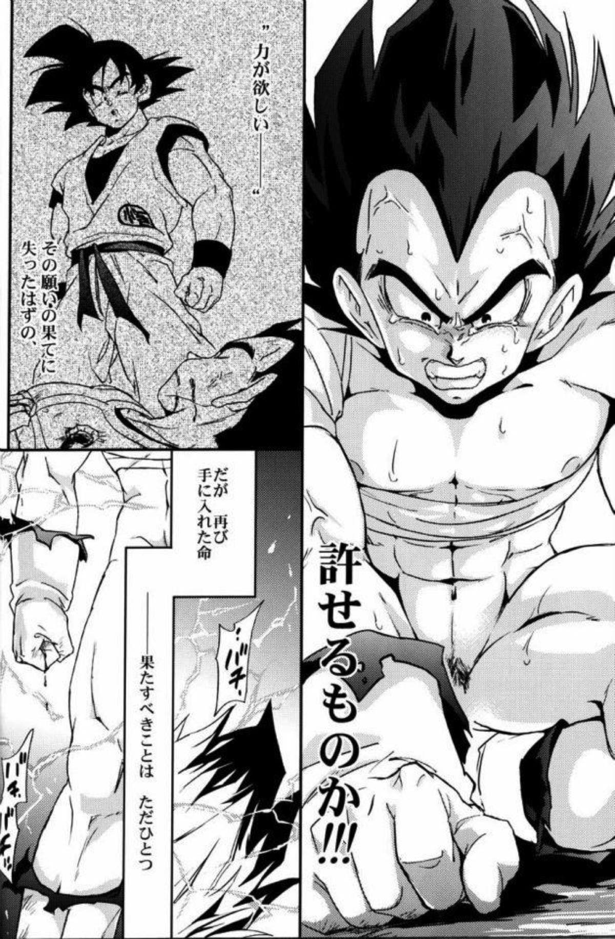 ケモノたちは故郷をめざす【ドラゴンボール/カカベジ】 page 27