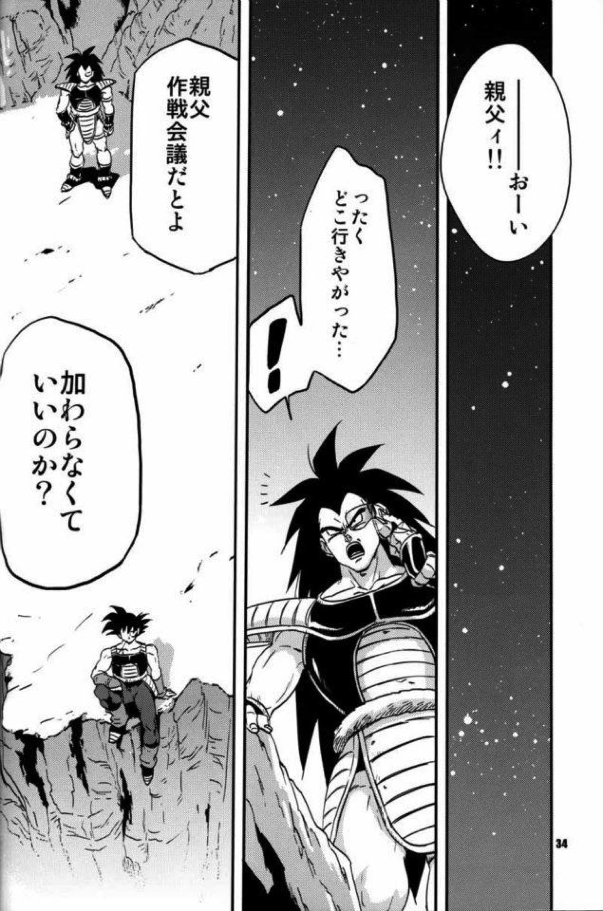 ケモノたちは故郷をめざす【ドラゴンボール/カカベジ】 page 28