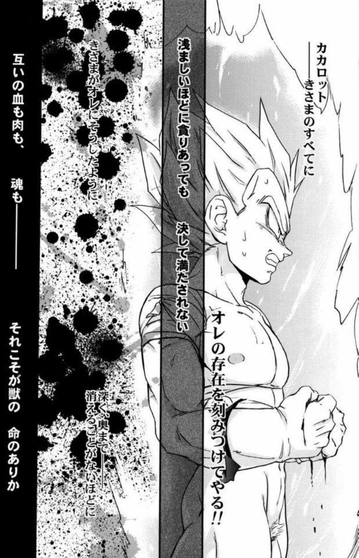 ケモノたちは故郷をめざす【ドラゴンボール/カカベジ】 page 31