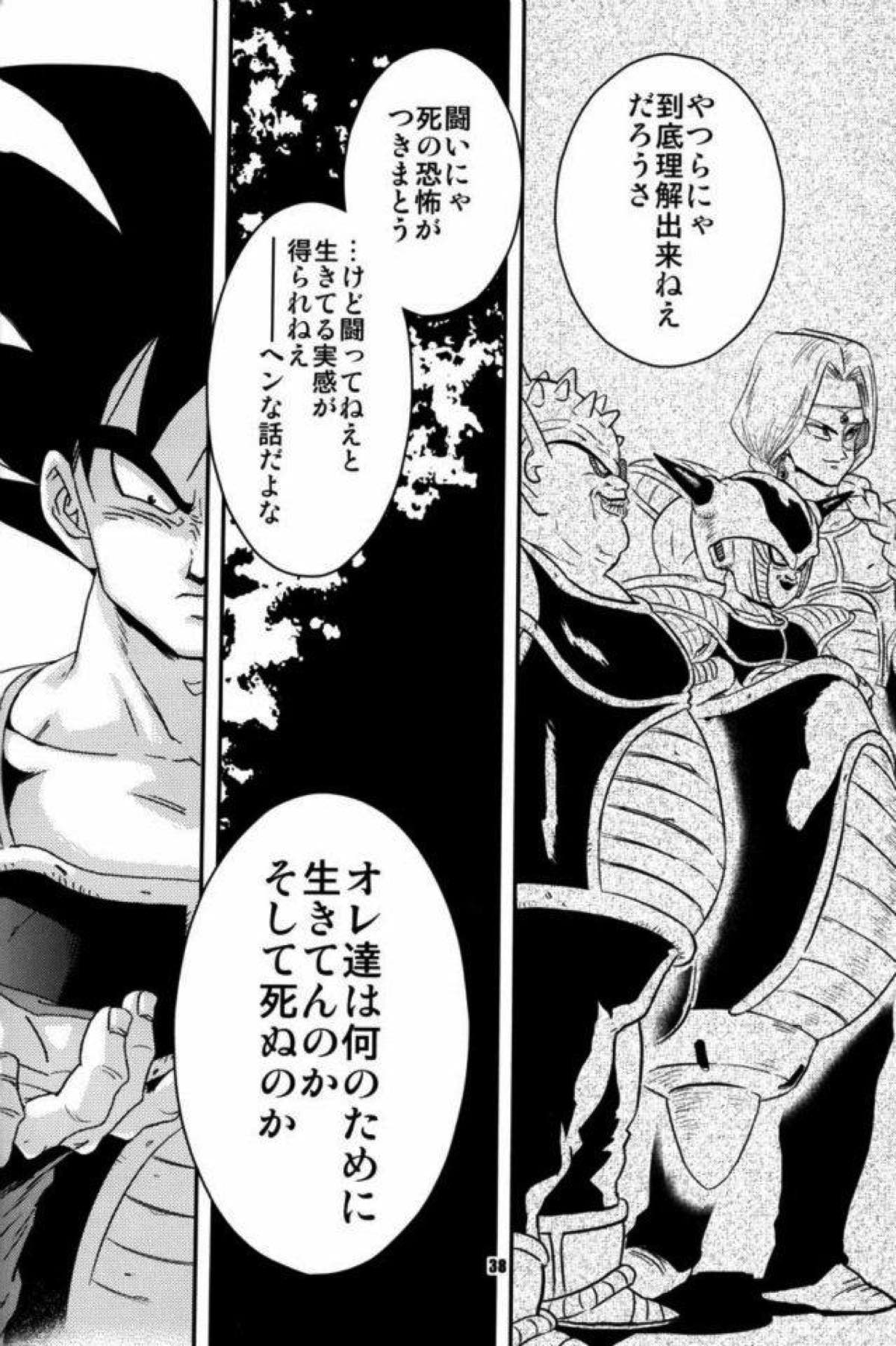 ケモノたちは故郷をめざす【ドラゴンボール/カカベジ】 page 35