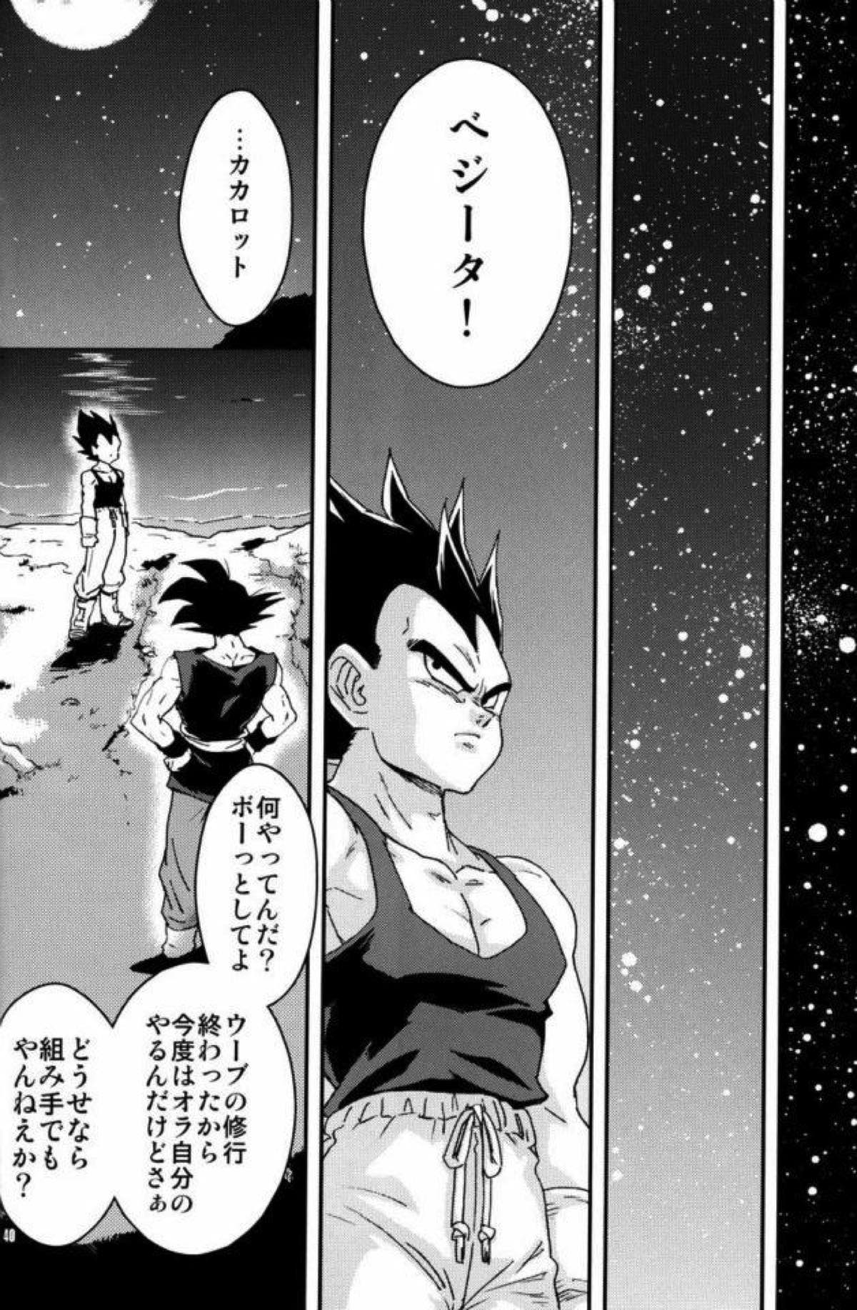 ケモノたちは故郷をめざす【ドラゴンボール/カカベジ】 page 38