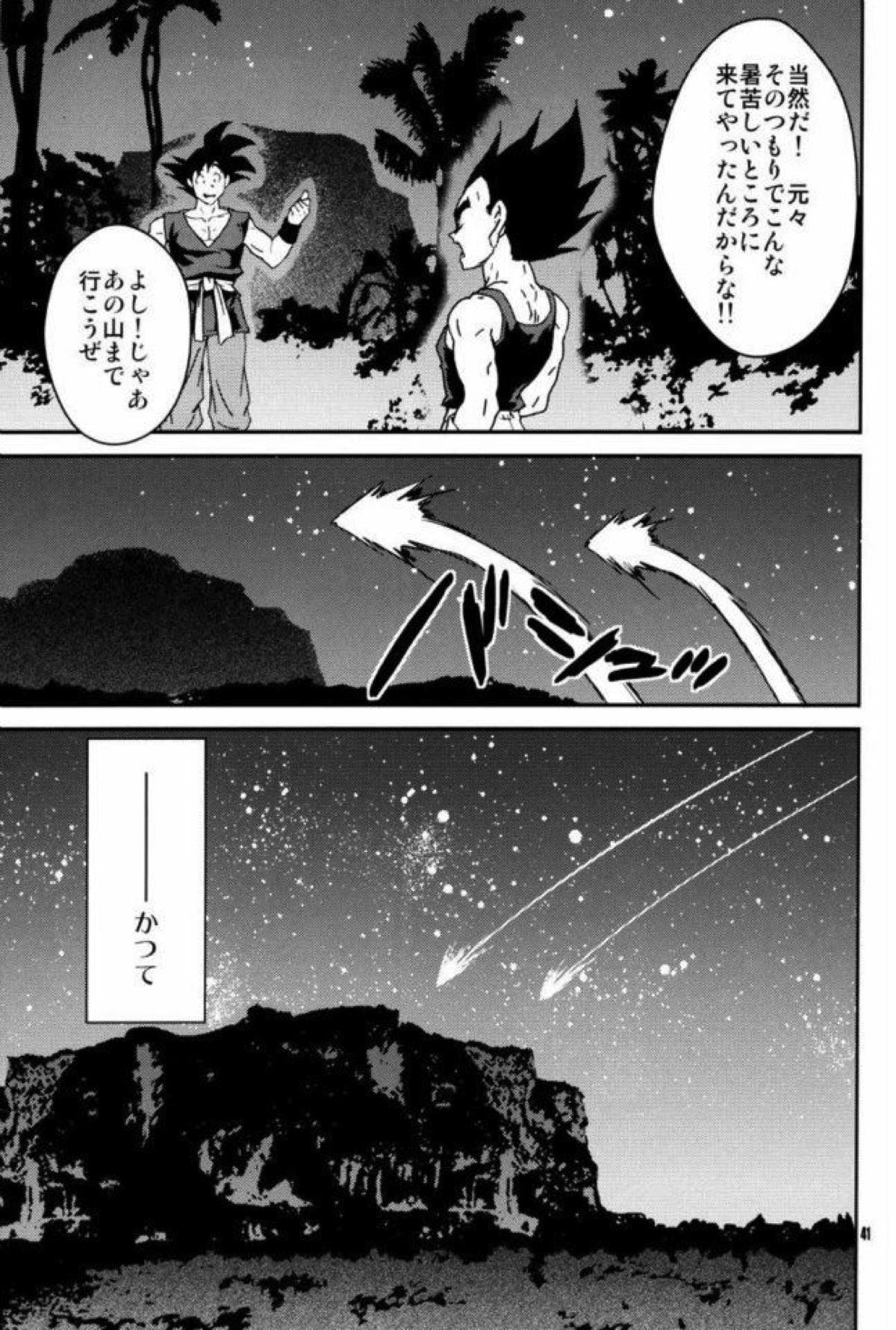 ケモノたちは故郷をめざす【ドラゴンボール/カカベジ】 page 39
