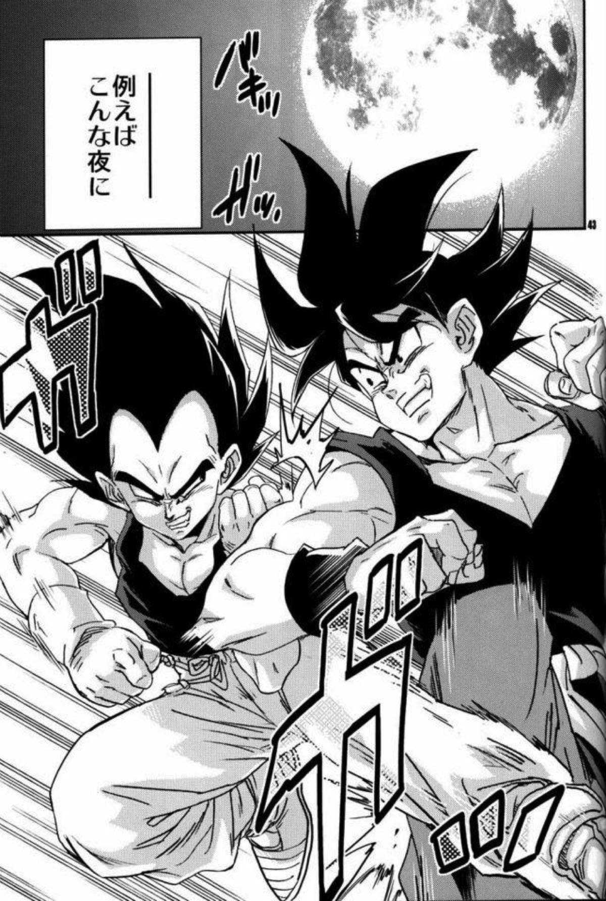 ケモノたちは故郷をめざす【ドラゴンボール/カカベジ】 page 41