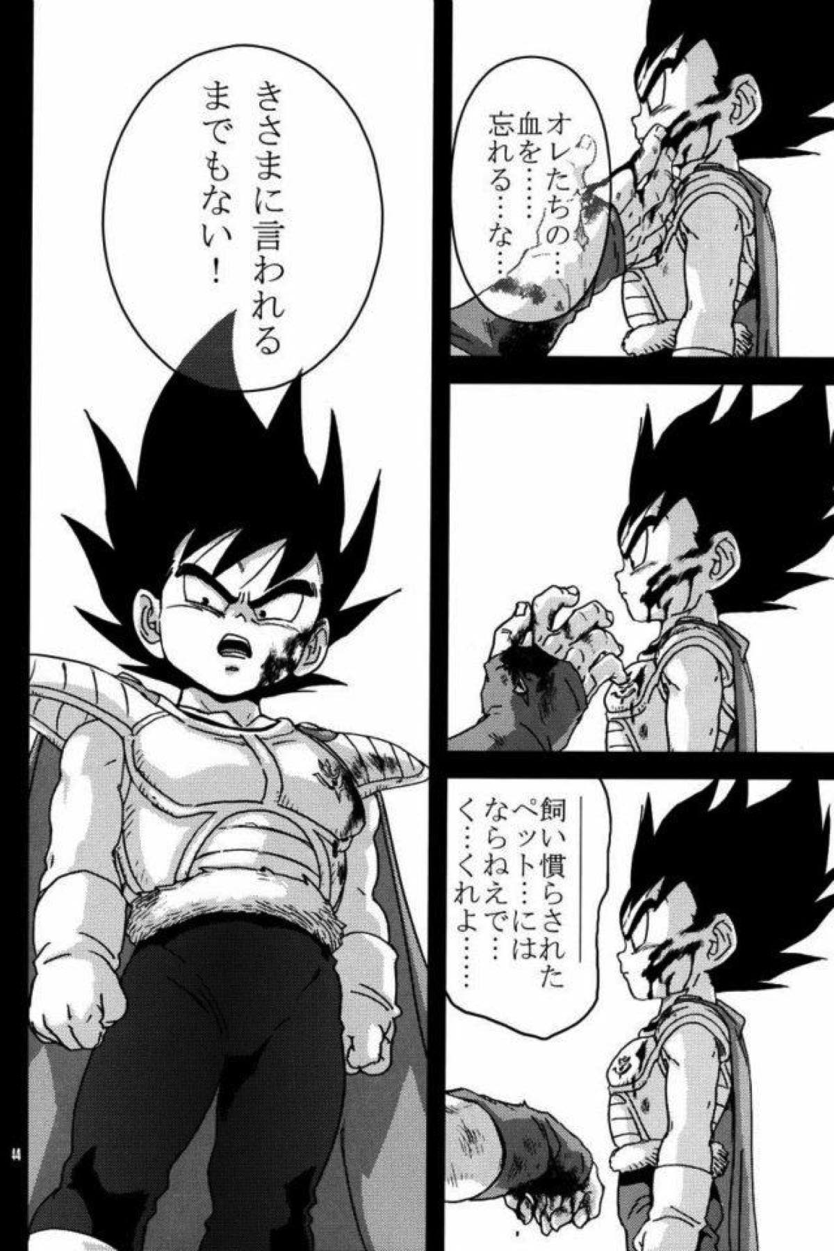 ケモノたちは故郷をめざす【ドラゴンボール/カカベジ】 page 42