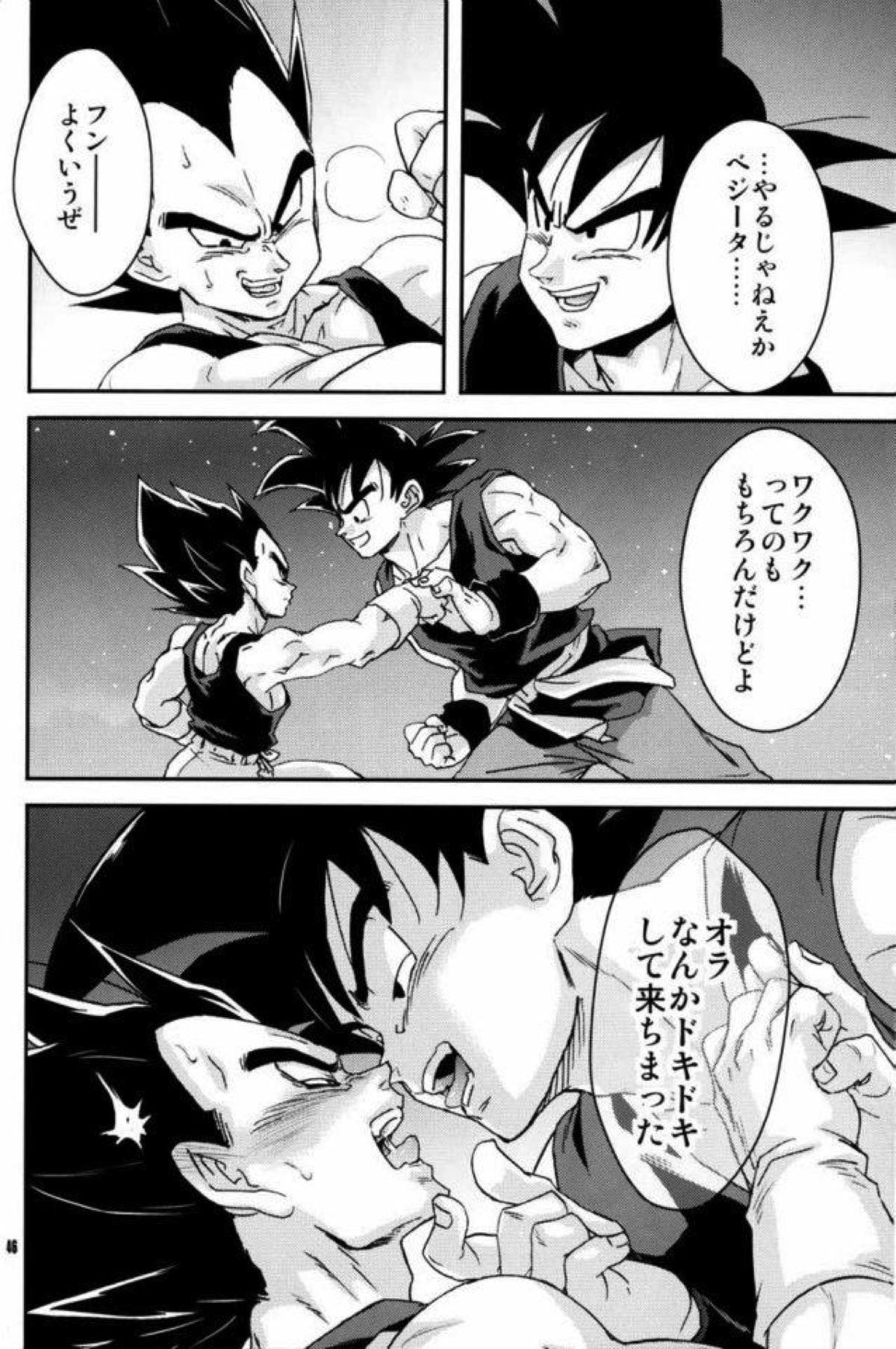 ケモノたちは故郷をめざす【ドラゴンボール/カカベジ】 page 44