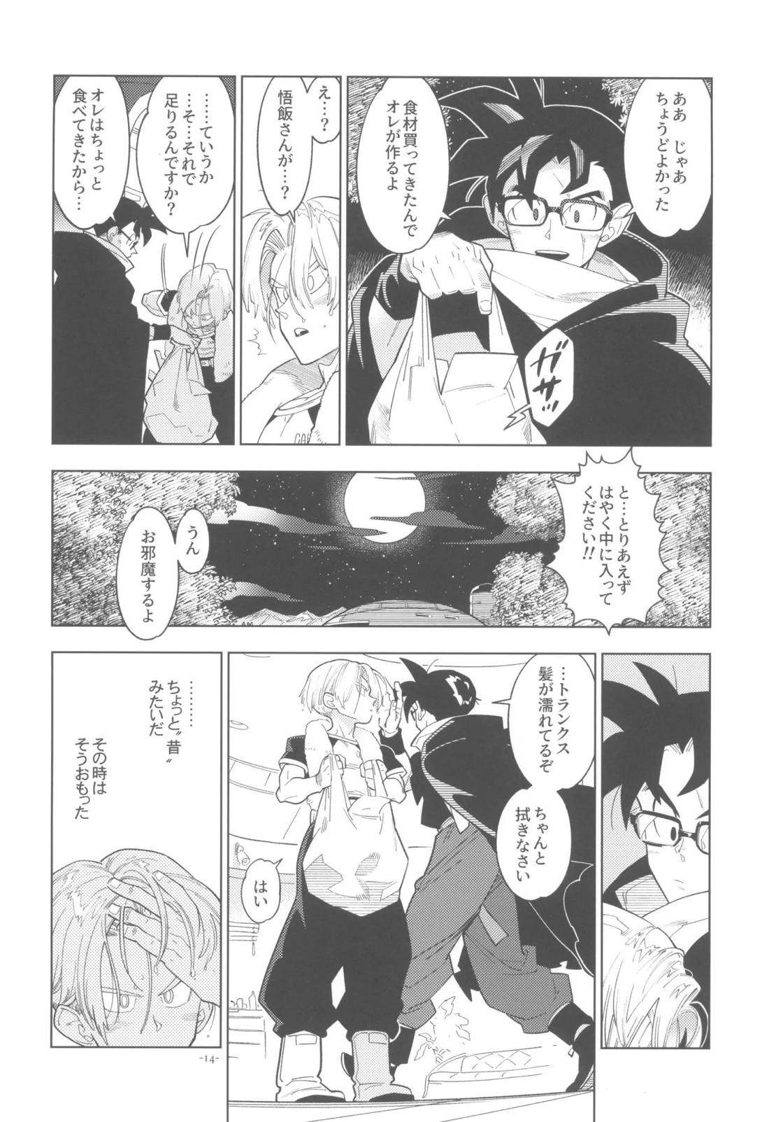 黒衣の未来戦士、眼鏡をかける。【ドラゴンボール/飯トラ】 page 13