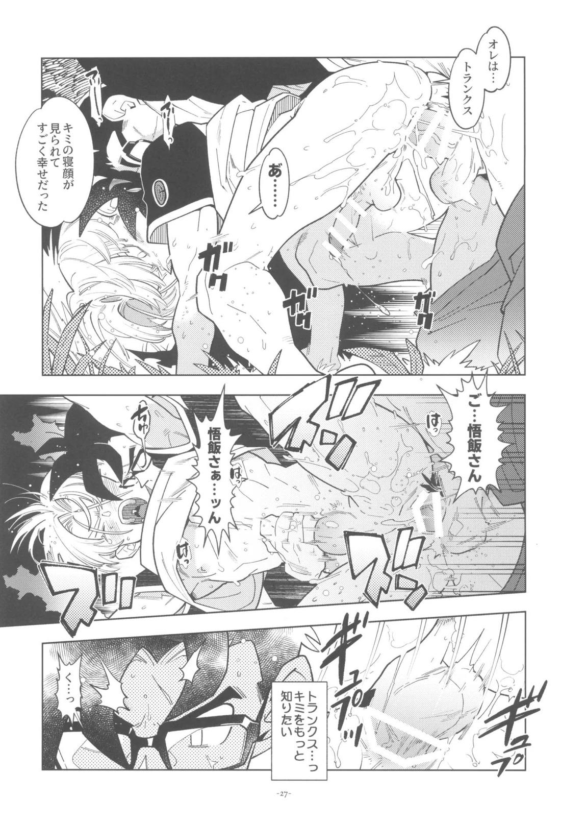 黒衣の未来戦士、眼鏡をかける。【ドラゴンボール/飯トラ】 page 26