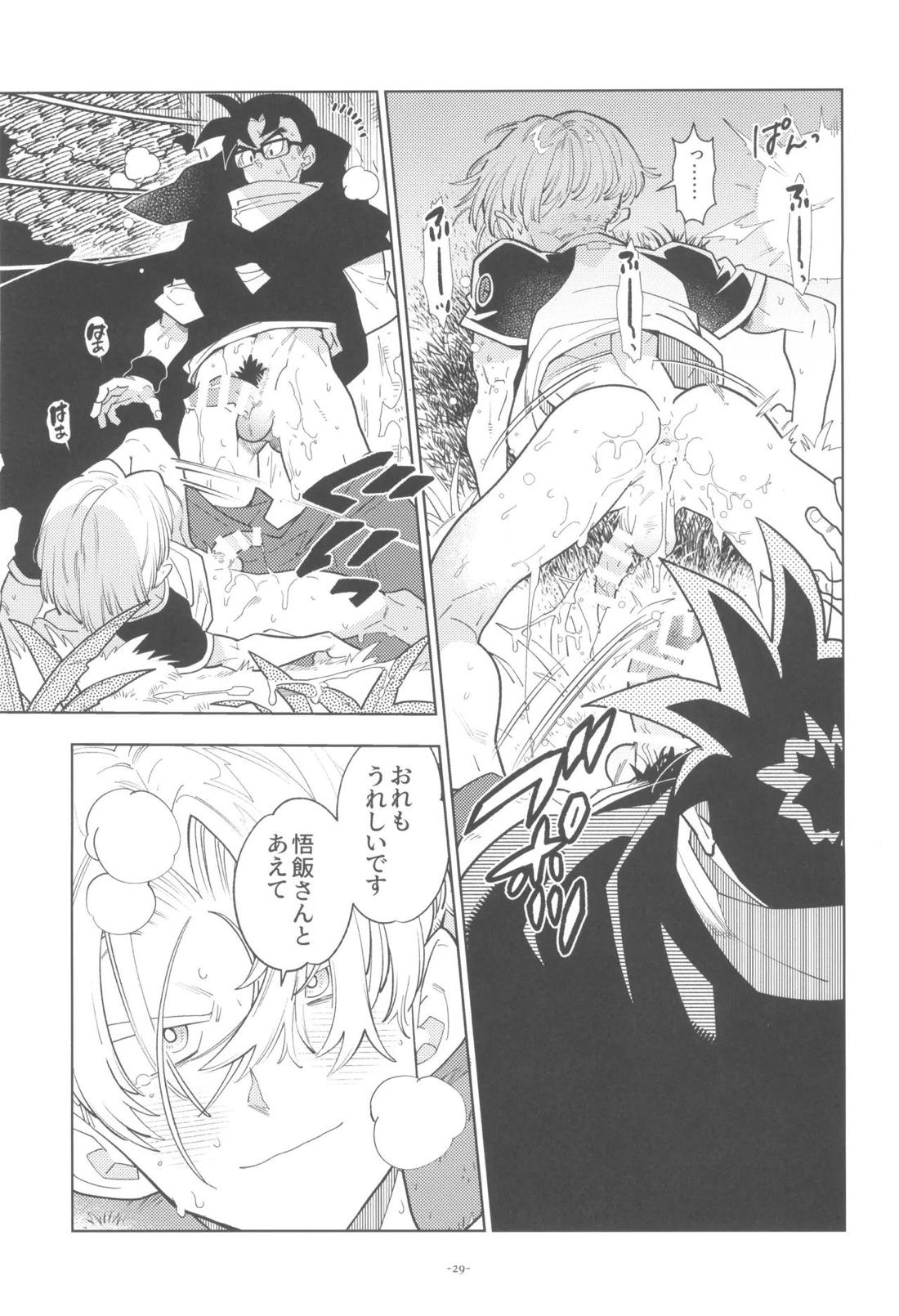 黒衣の未来戦士、眼鏡をかける。【ドラゴンボール/飯トラ】 page 28