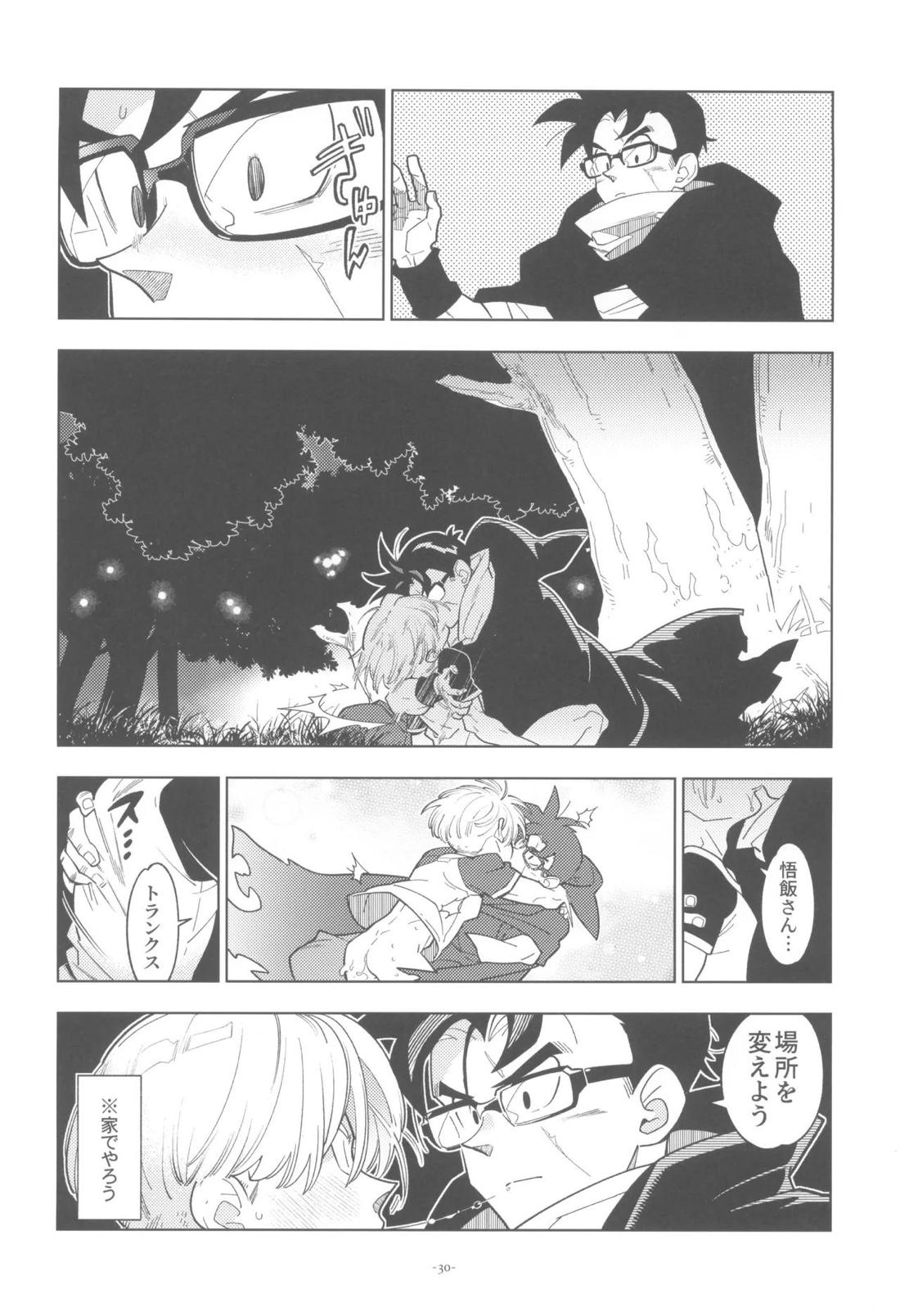 黒衣の未来戦士、眼鏡をかける。【ドラゴンボール/飯トラ】 page 29
