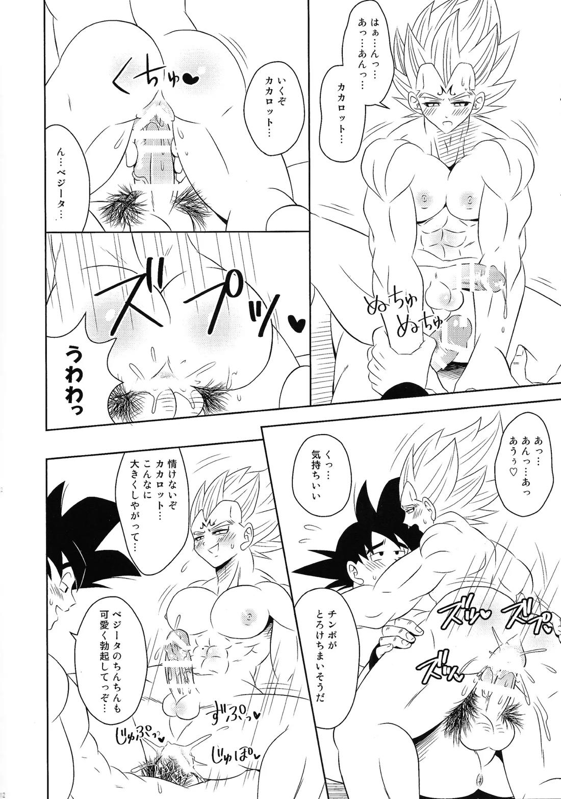 魔ベジちゃんに叱られる【ドラゴンボール/カカベジ】 page 13