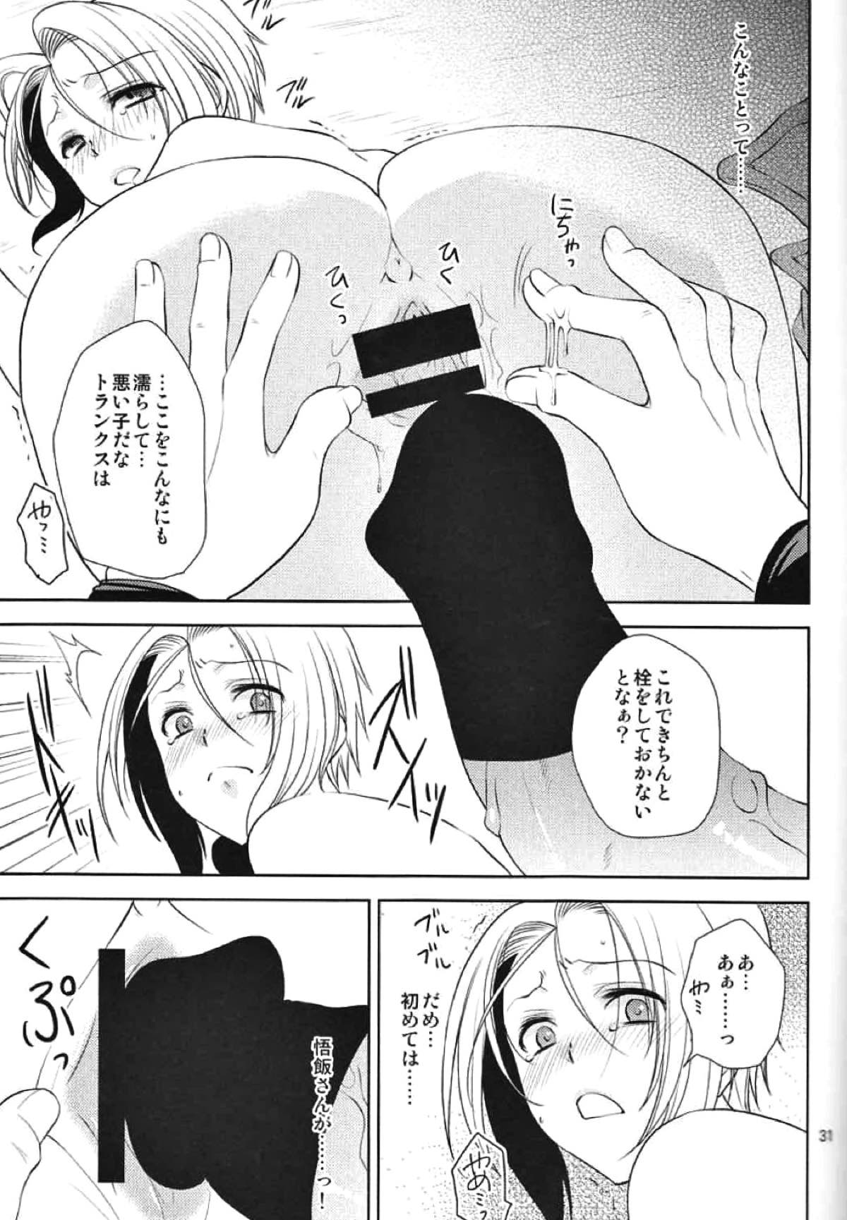 そして僕は其の水仙に魅入られた。【ドラゴンボール/飯トラ】 page 29