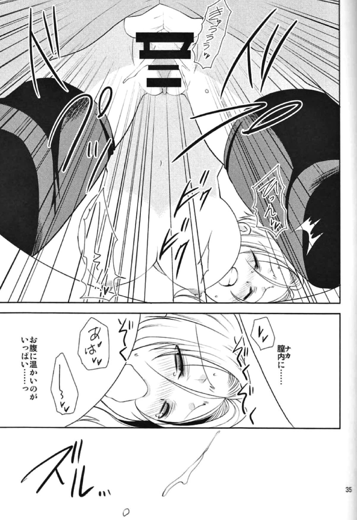 そして僕は其の水仙に魅入られた。【ドラゴンボール/飯トラ】 page 33