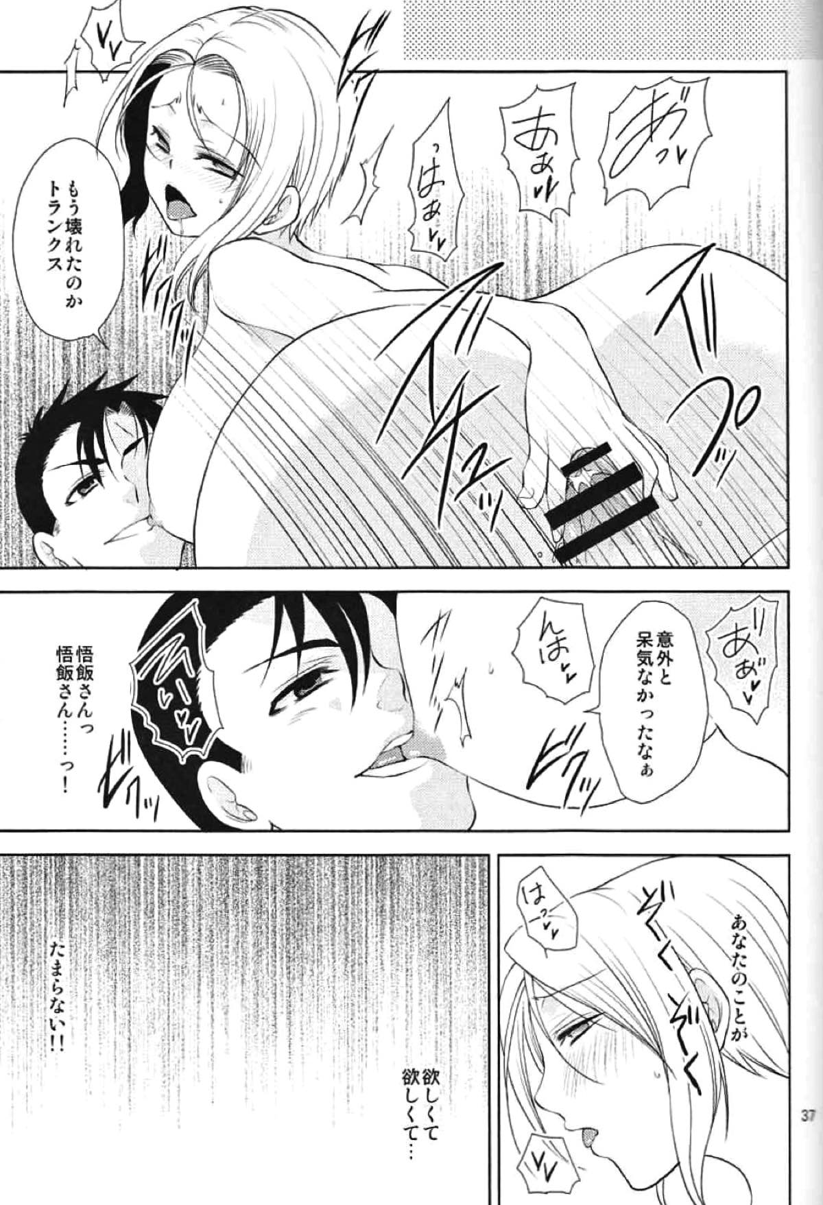 そして僕は其の水仙に魅入られた。【ドラゴンボール/飯トラ】 page 35