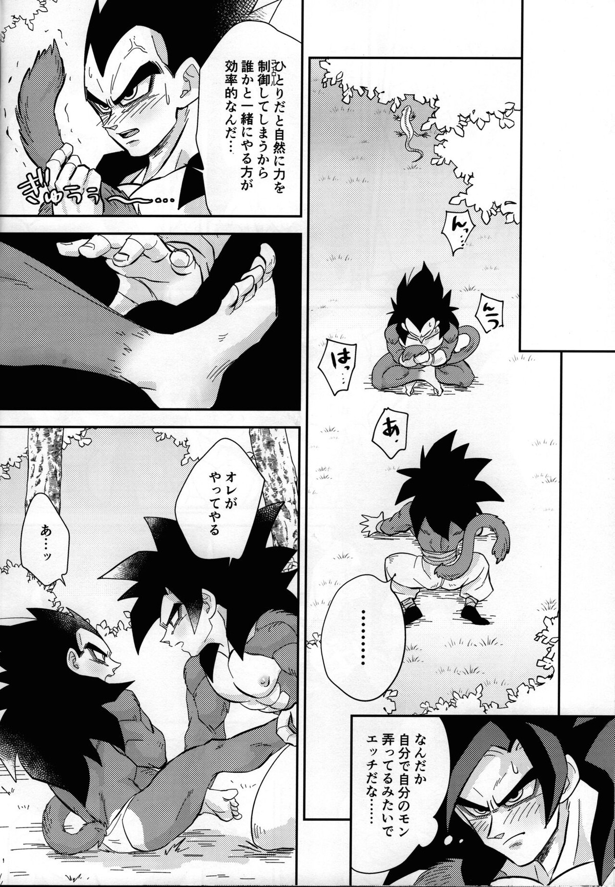 ベジータの尻尾がこんなにビンカンなわけがない!【ドラゴンボール/カカベジ】 page 13