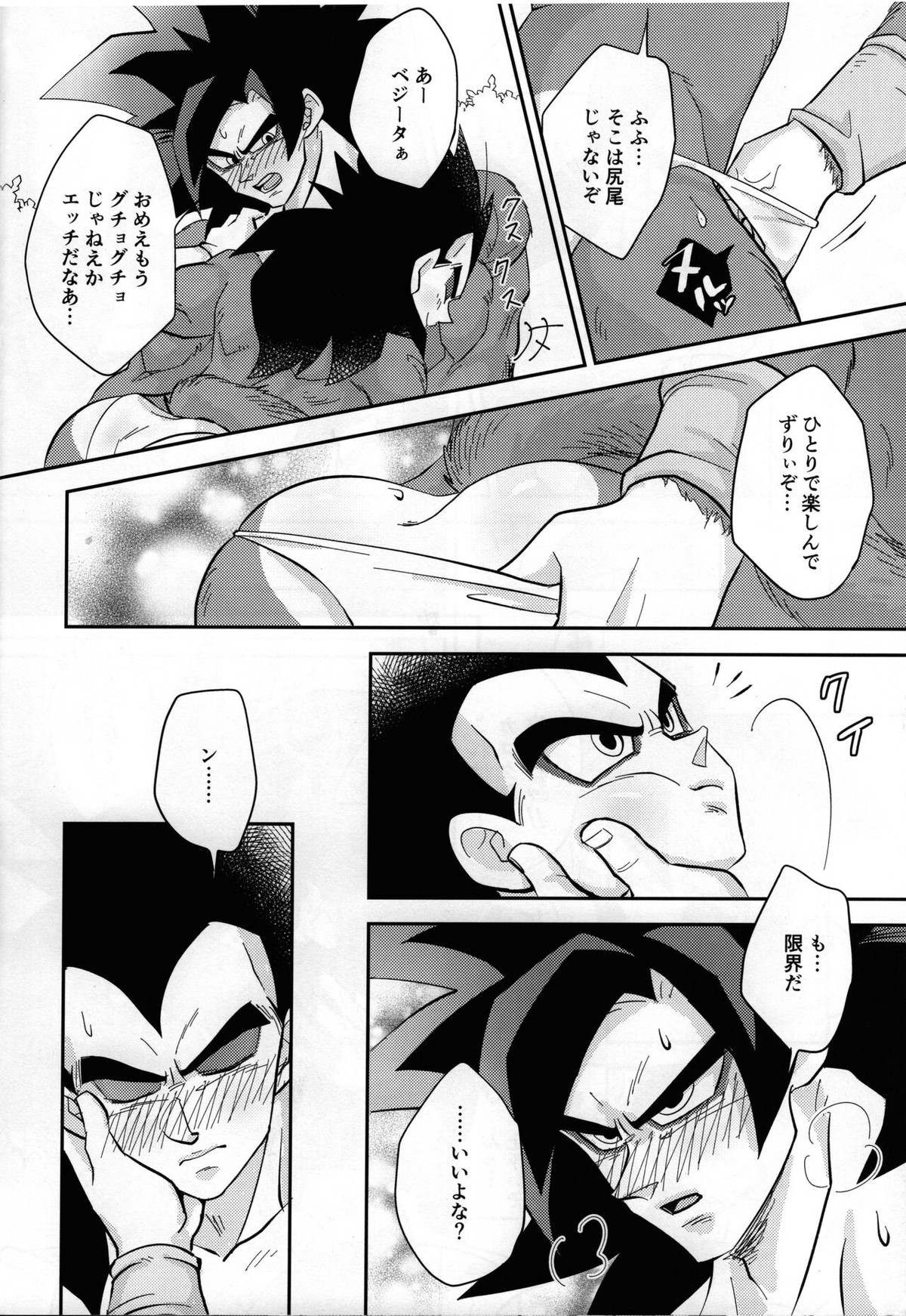 ベジータの尻尾がこんなにビンカンなわけがない!【ドラゴンボール/カカベジ】 page 15