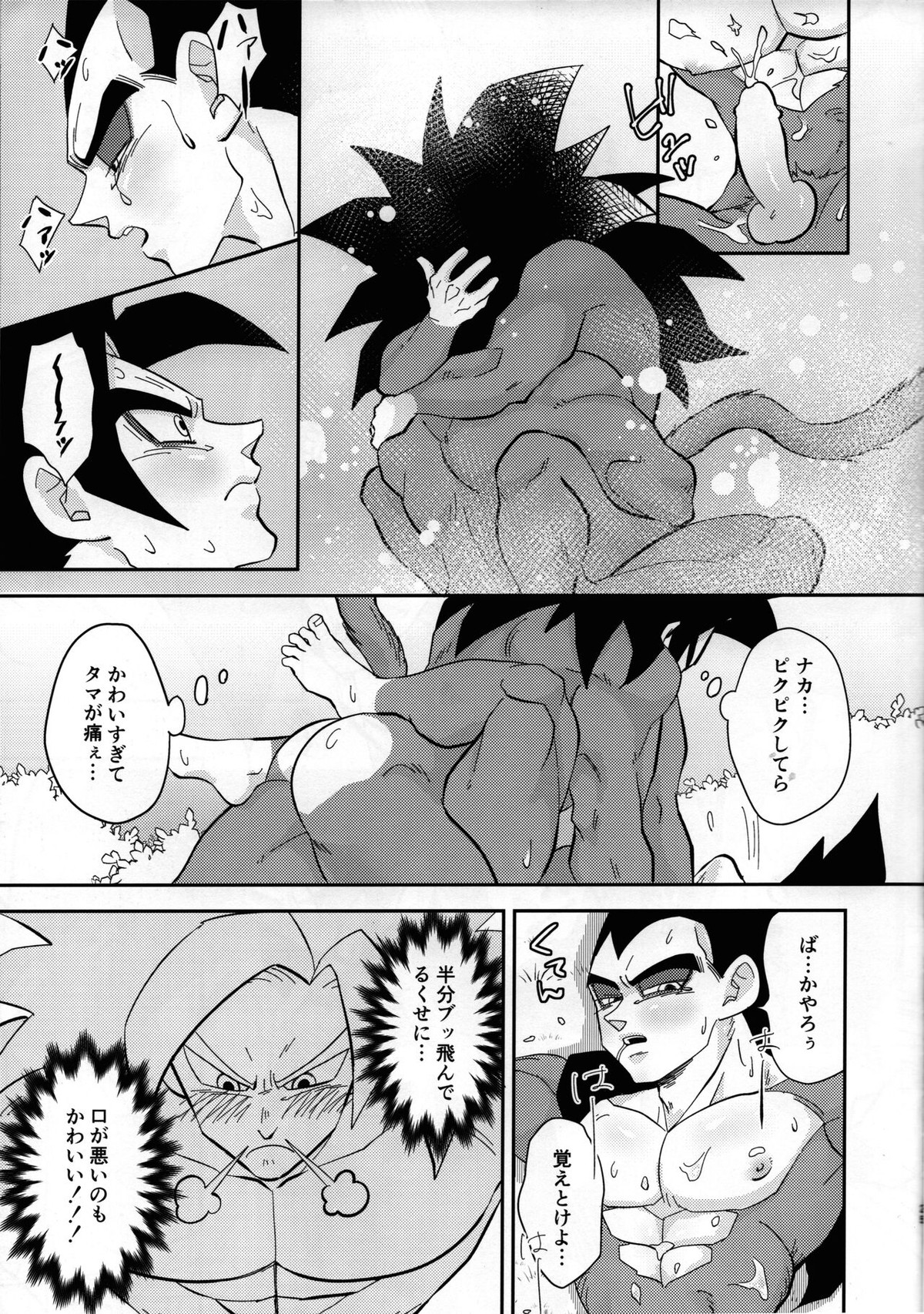 ベジータの尻尾がこんなにビンカンなわけがない!【ドラゴンボール/カカベジ】 page 22