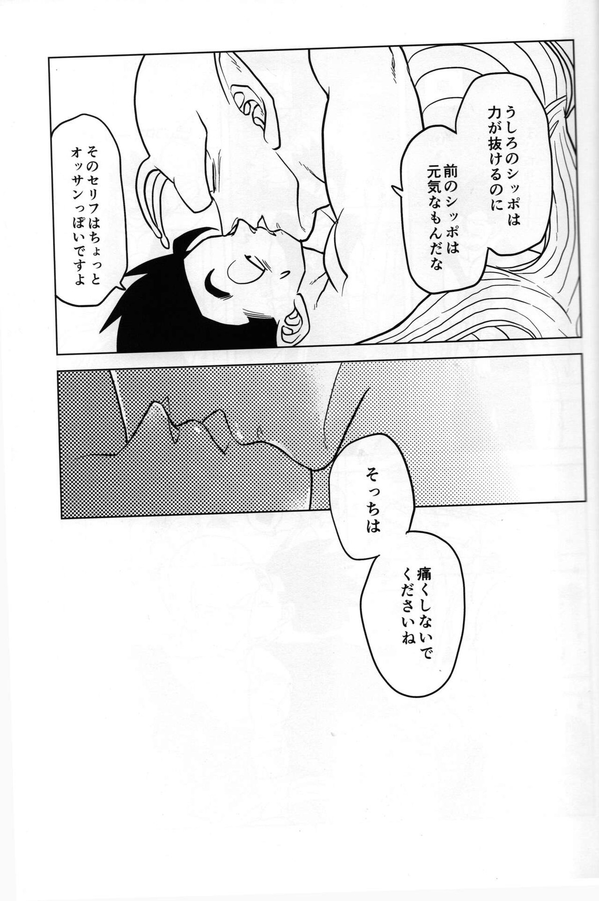 しっぽまつり【ドラゴンボール/ピッコロ×悟飯】 page 13