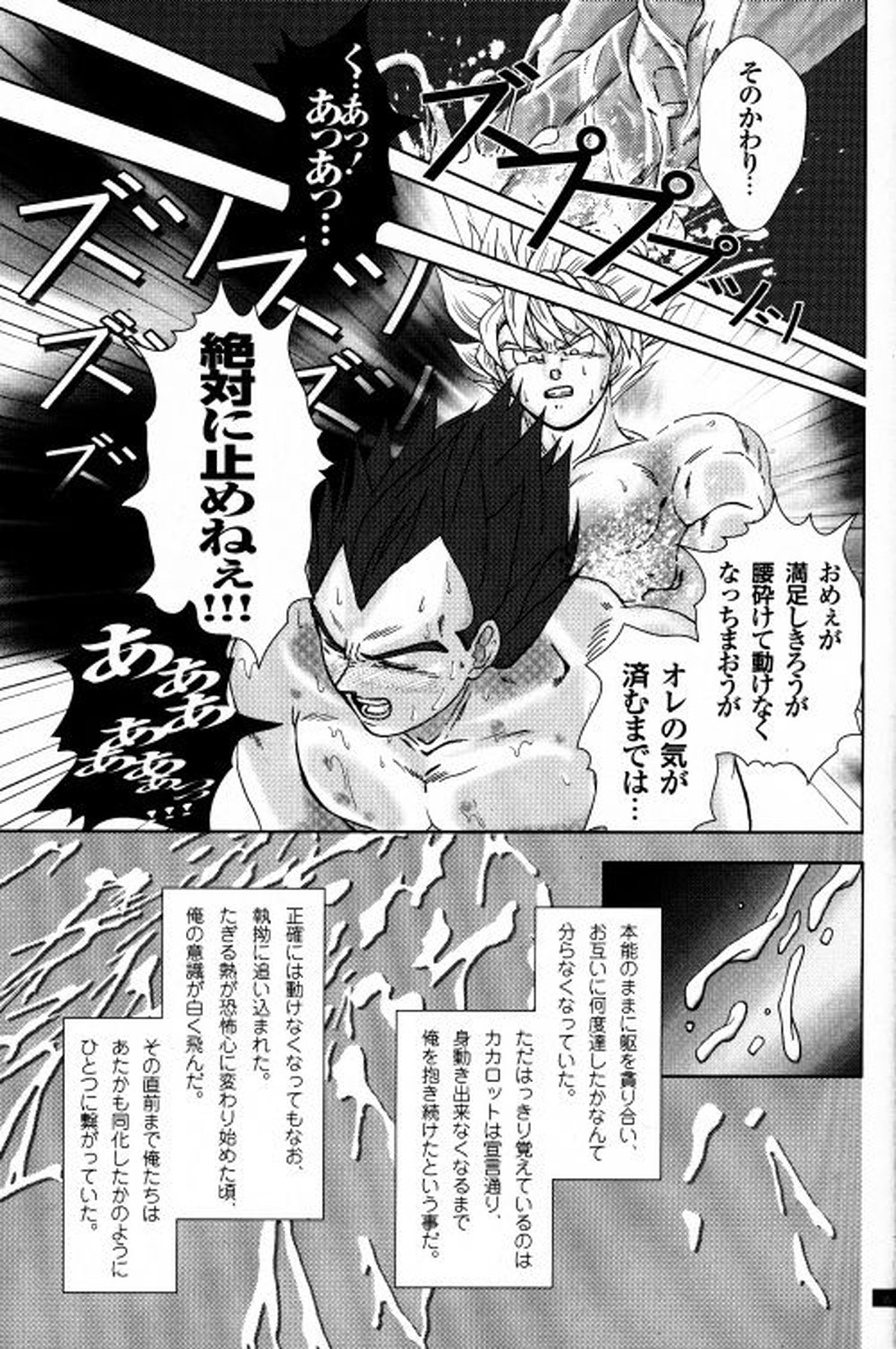 Blaze【ドラゴンボール/カカベジ】 page 13