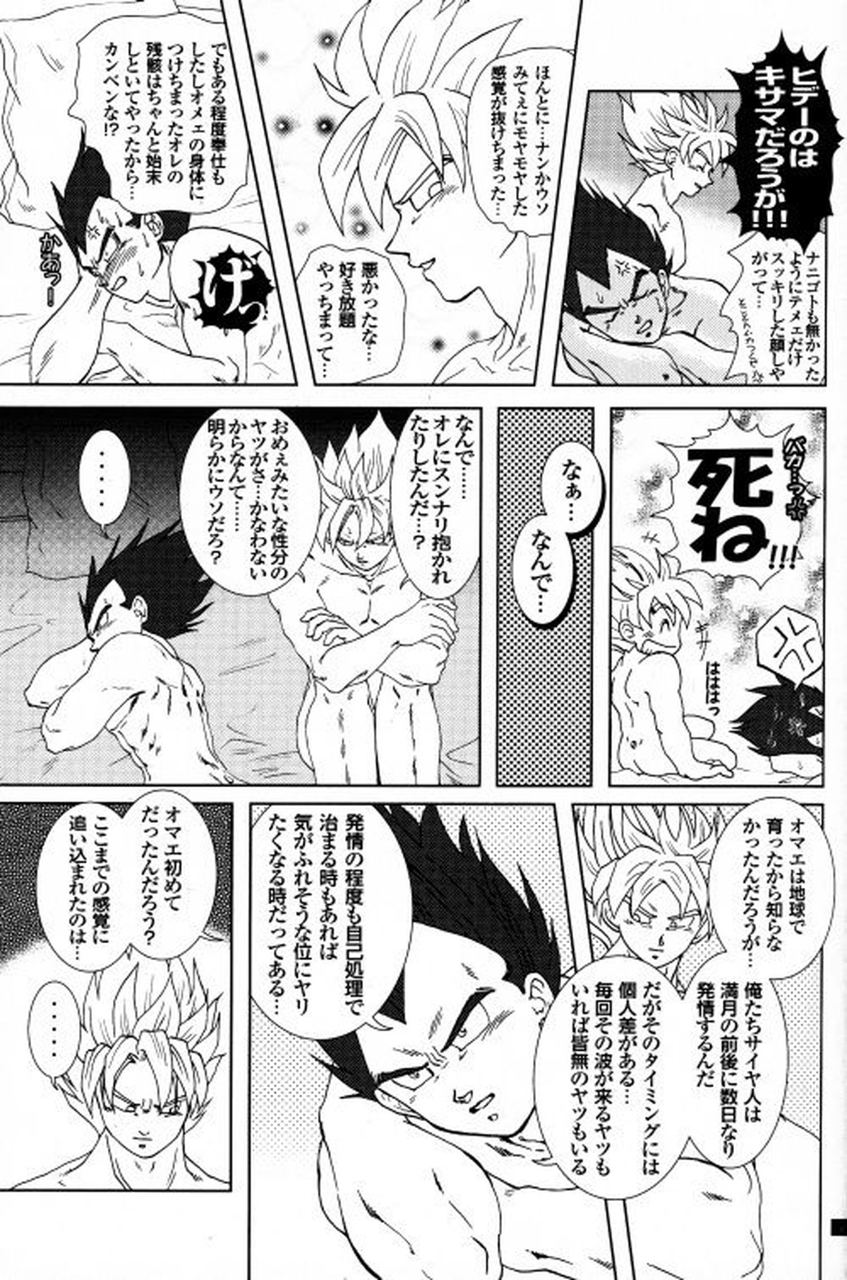 Blaze【ドラゴンボール/カカベジ】 page 15