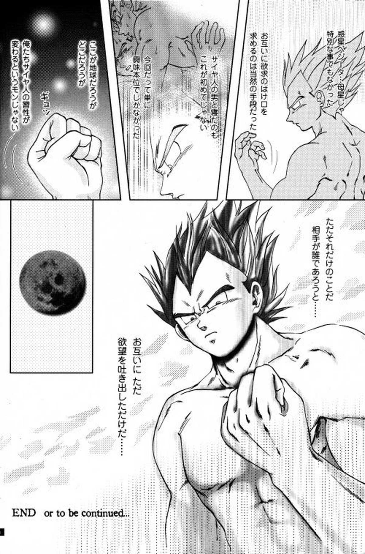 Blaze【ドラゴンボール/カカベジ】 page 18