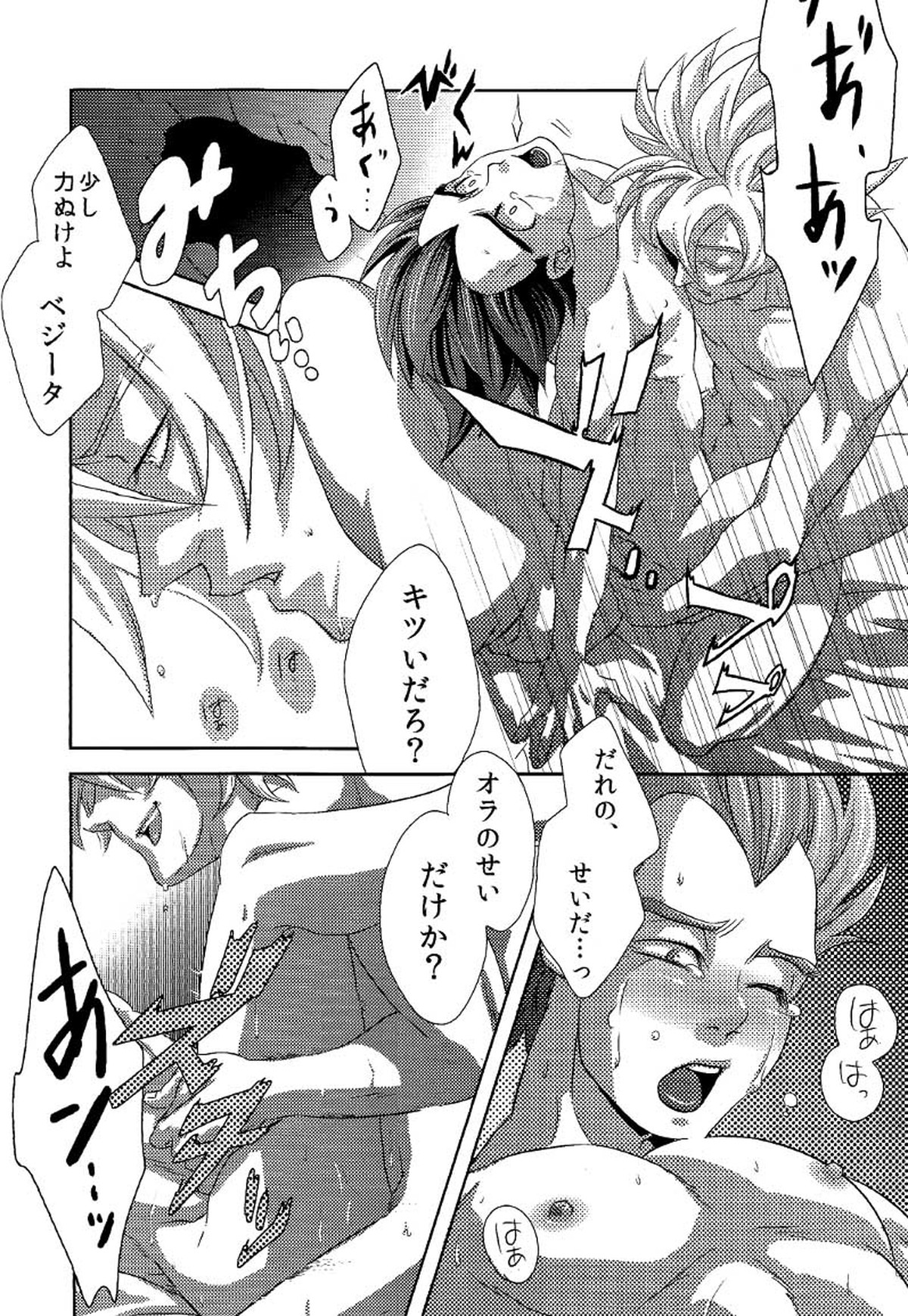 La Vie en Rose【ドラゴンボール/カカベジ】 page 17