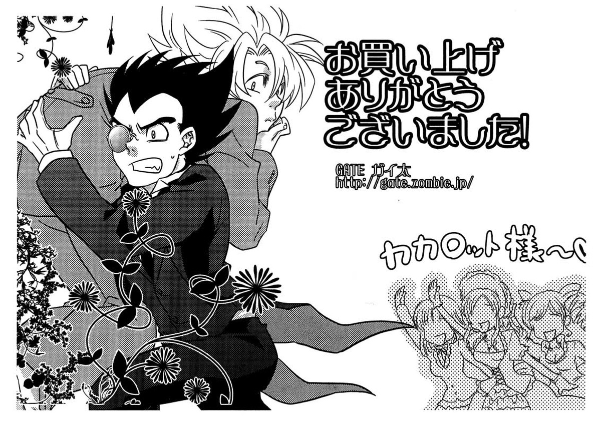 La Vie en Rose【ドラゴンボール/カカベジ】 page 26