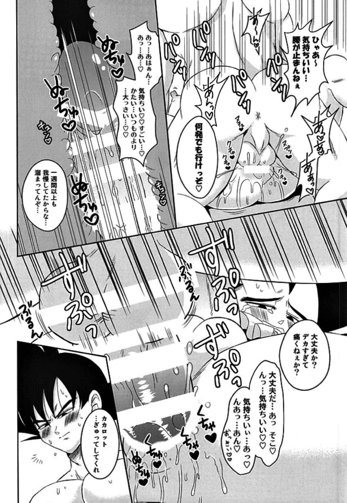 Dear2【ドラゴンボール/カカベジ】 page 18