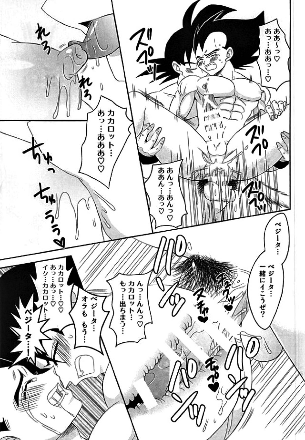Dear2【ドラゴンボール/カカベジ】 page 25