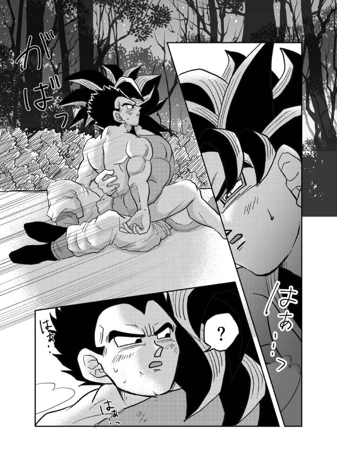 Re：【ドラゴンボール/カカベジ】 page 29