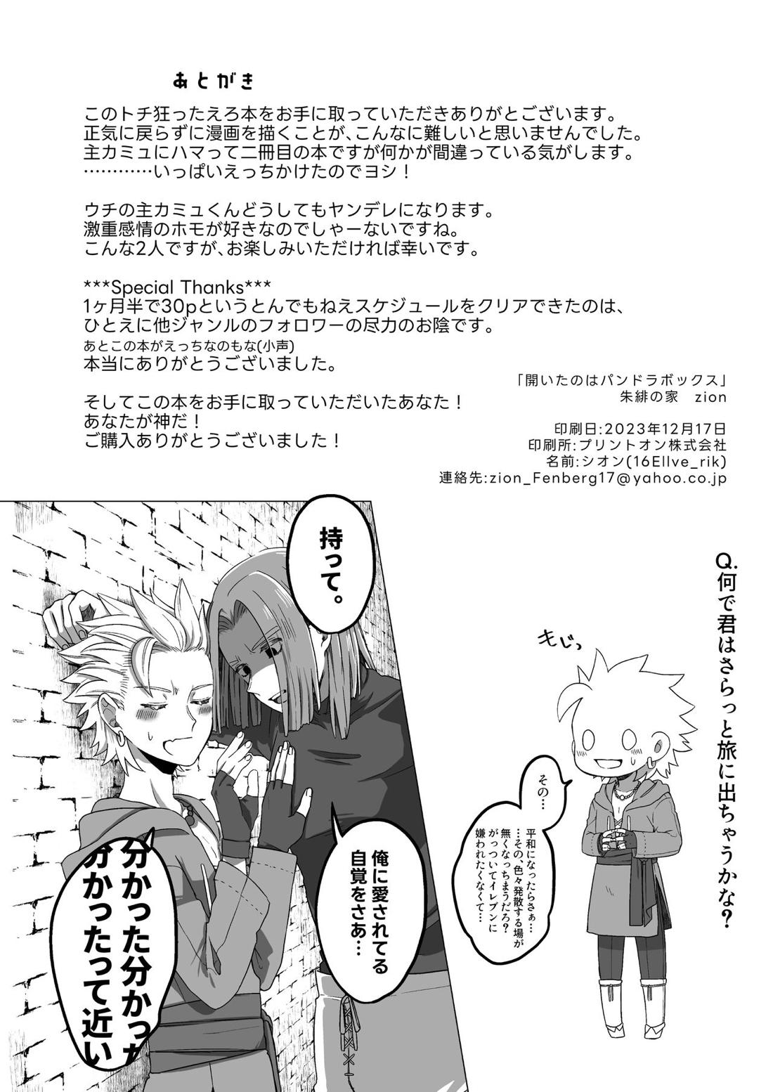 開いたのはパンドラボックス【ドラゴンクエスト11/主カミュ】 page 29