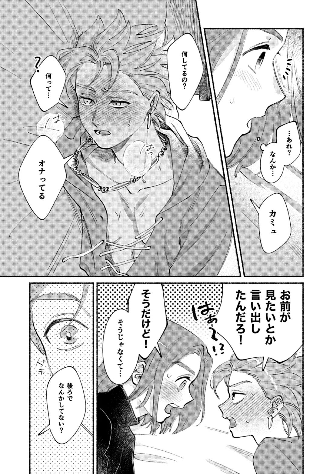 イレブンがカミュの自慰を見たがる話【ドラゴンクエスト11/主カミュ】 page 16