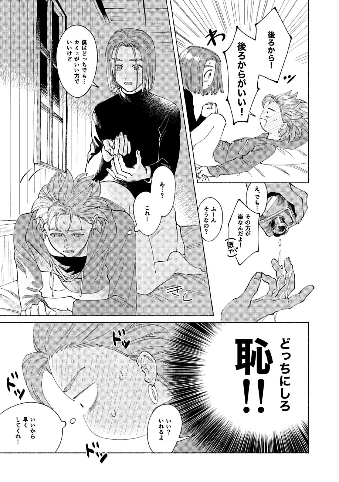 イレブンがカミュの自慰を見たがる話【ドラゴンクエスト11/主カミュ】 page 28