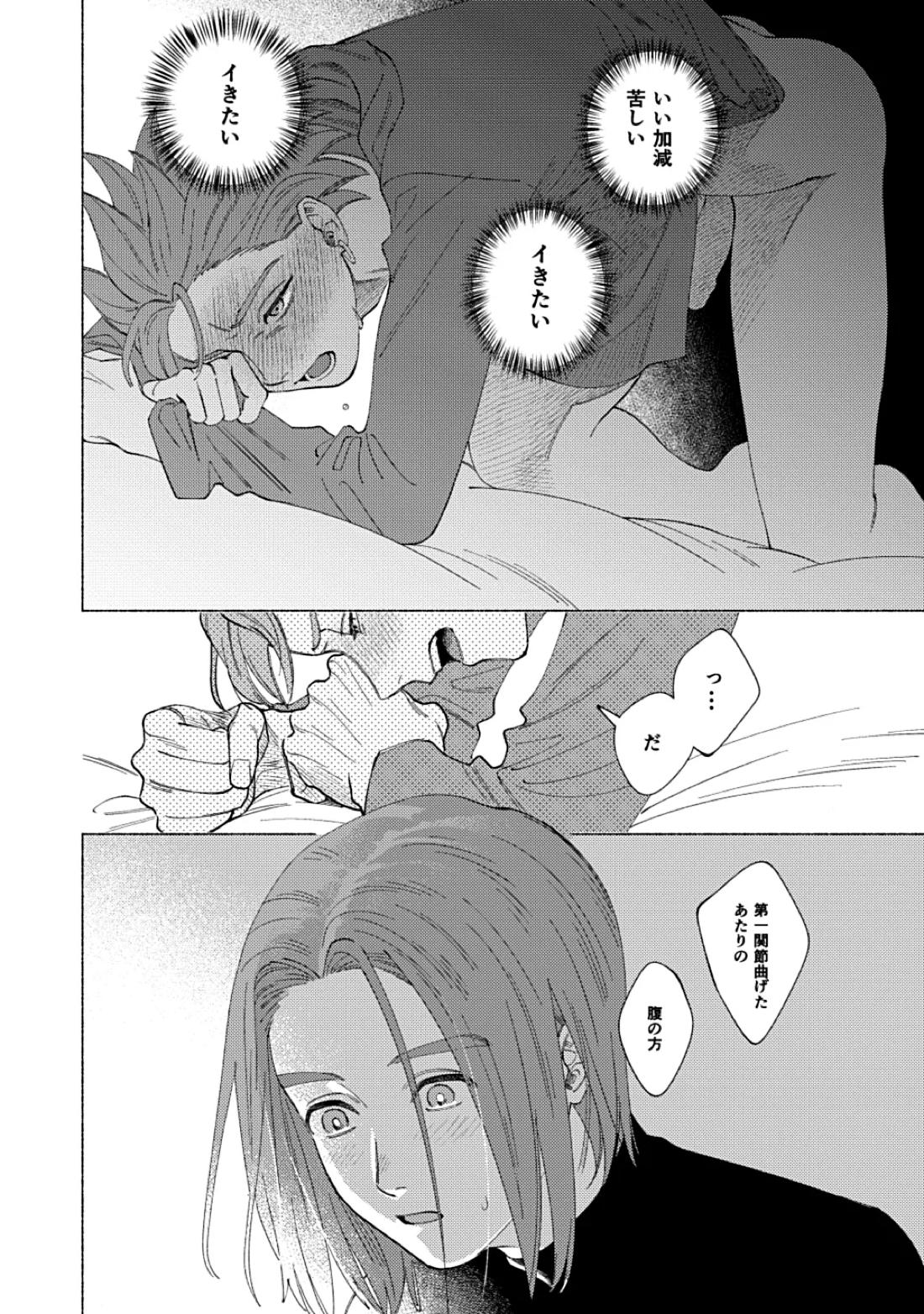 イレブンがカミュの自慰を見たがる話【ドラゴンクエスト11/主カミュ】 page 31