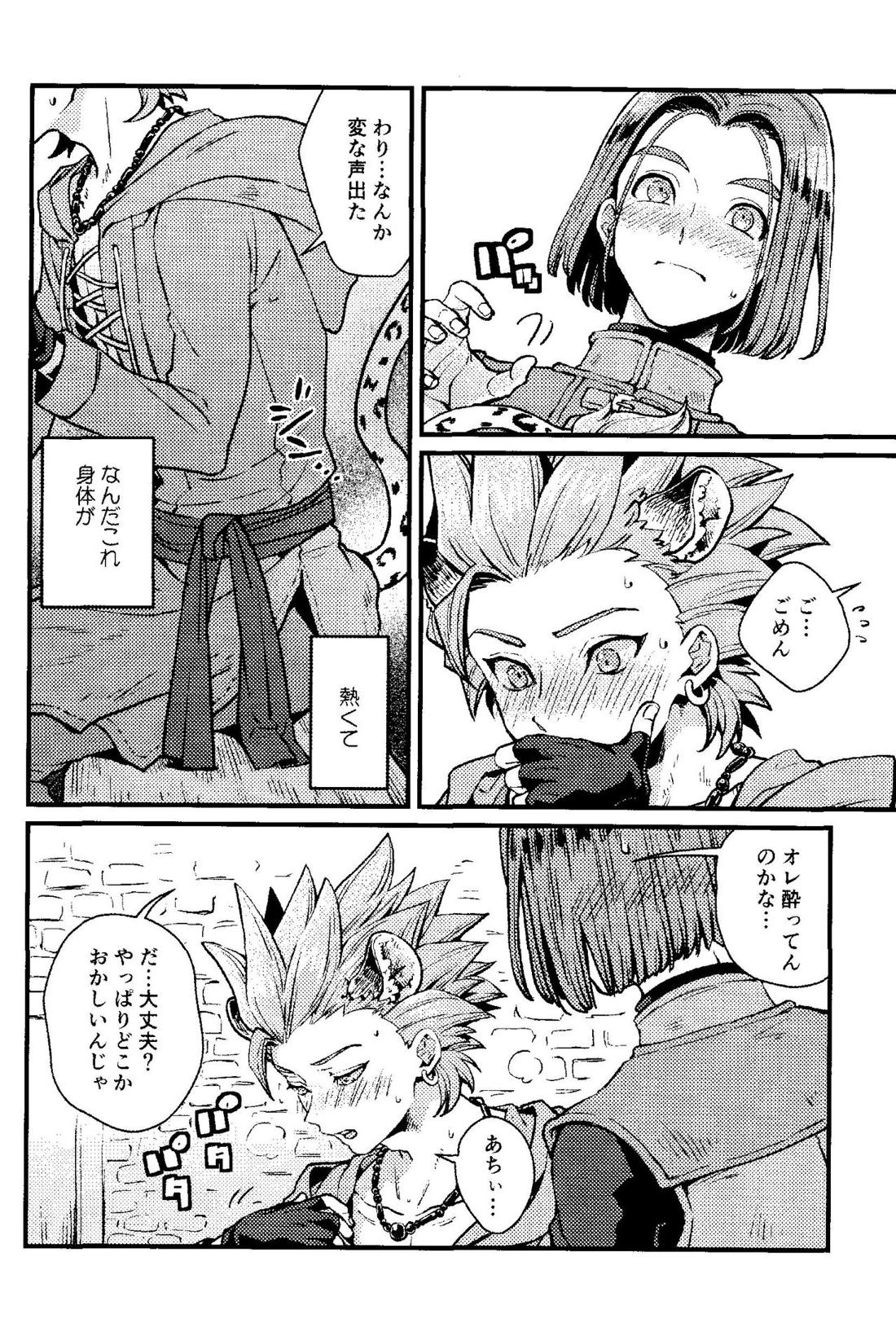 ANIMAL NIGHT【ドラゴンクエスト11/主カミュ】 page 13