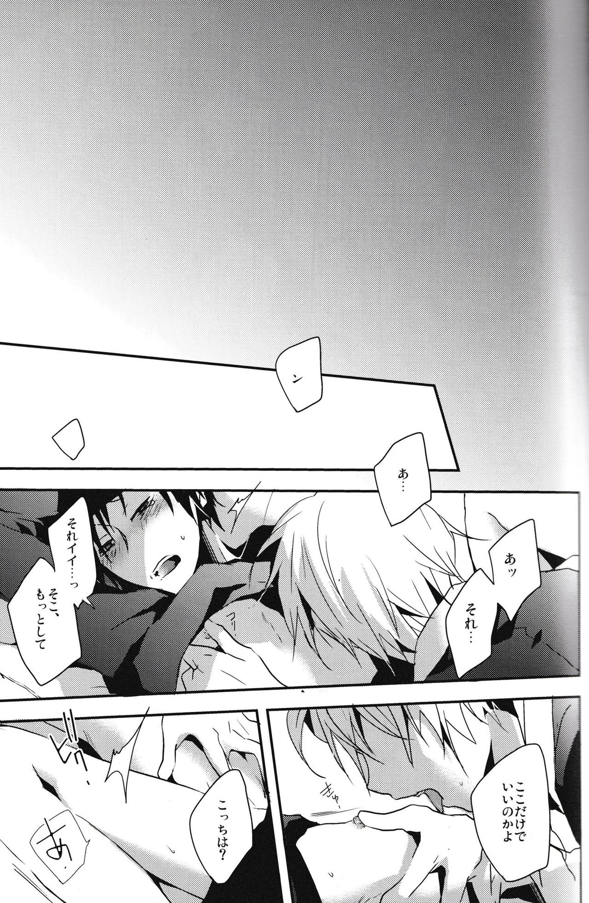 本当に欲しいものはひとつだけ【デュラララ!!/シズイザ】 page 13