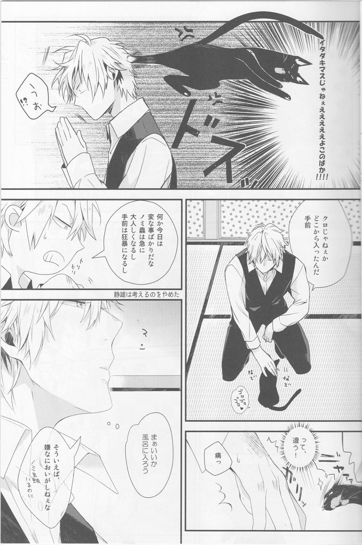 キャット・アンド・チョコレート【デュラララ!!/シズイザ】 page 12