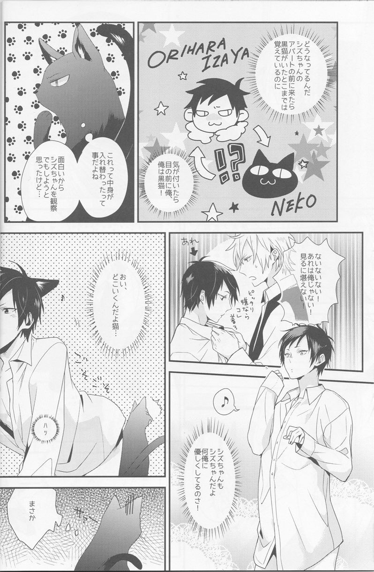 キャット・アンド・チョコレート【デュラララ!!/シズイザ】 page 13