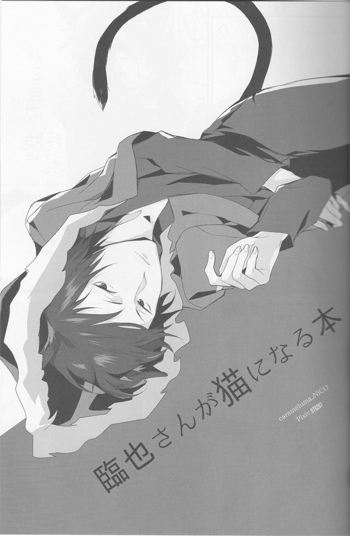 キャット・アンド・チョコレート【デュラララ!!/シズイザ】 page 34