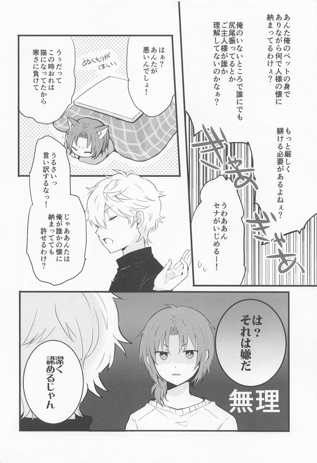 Affinity【あんさんぶるスターズ!/レオいず】 page 13