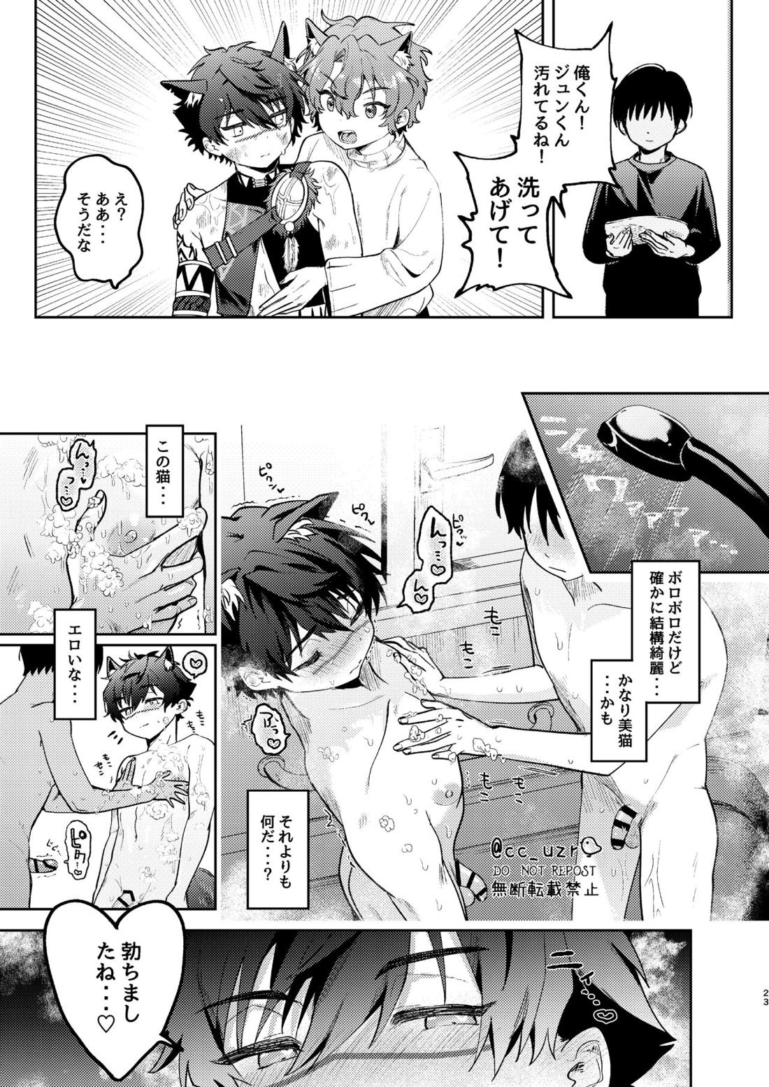 猫飼ってます！【あんさんぶるスターズ!/モブジュン】 page 21