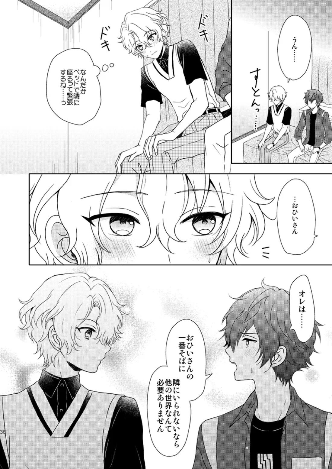 一心同体【あんさんぶるスターズ!/漣巴】 page 34