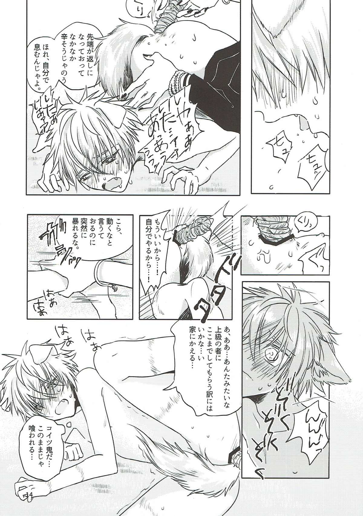 いぬの嫁入り【あんさんぶるスターズ!/零晃】 page 13