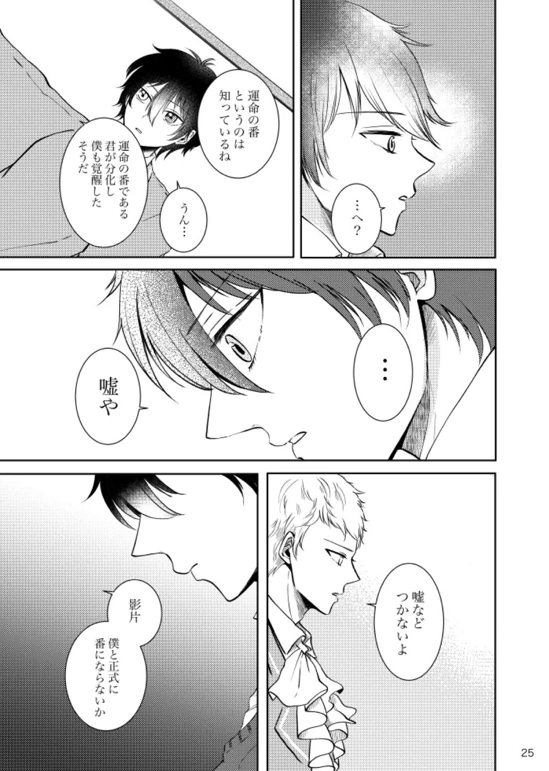 ノルニルは空を舞う【あんさんぶるスターズ!/宗みか】 page 24