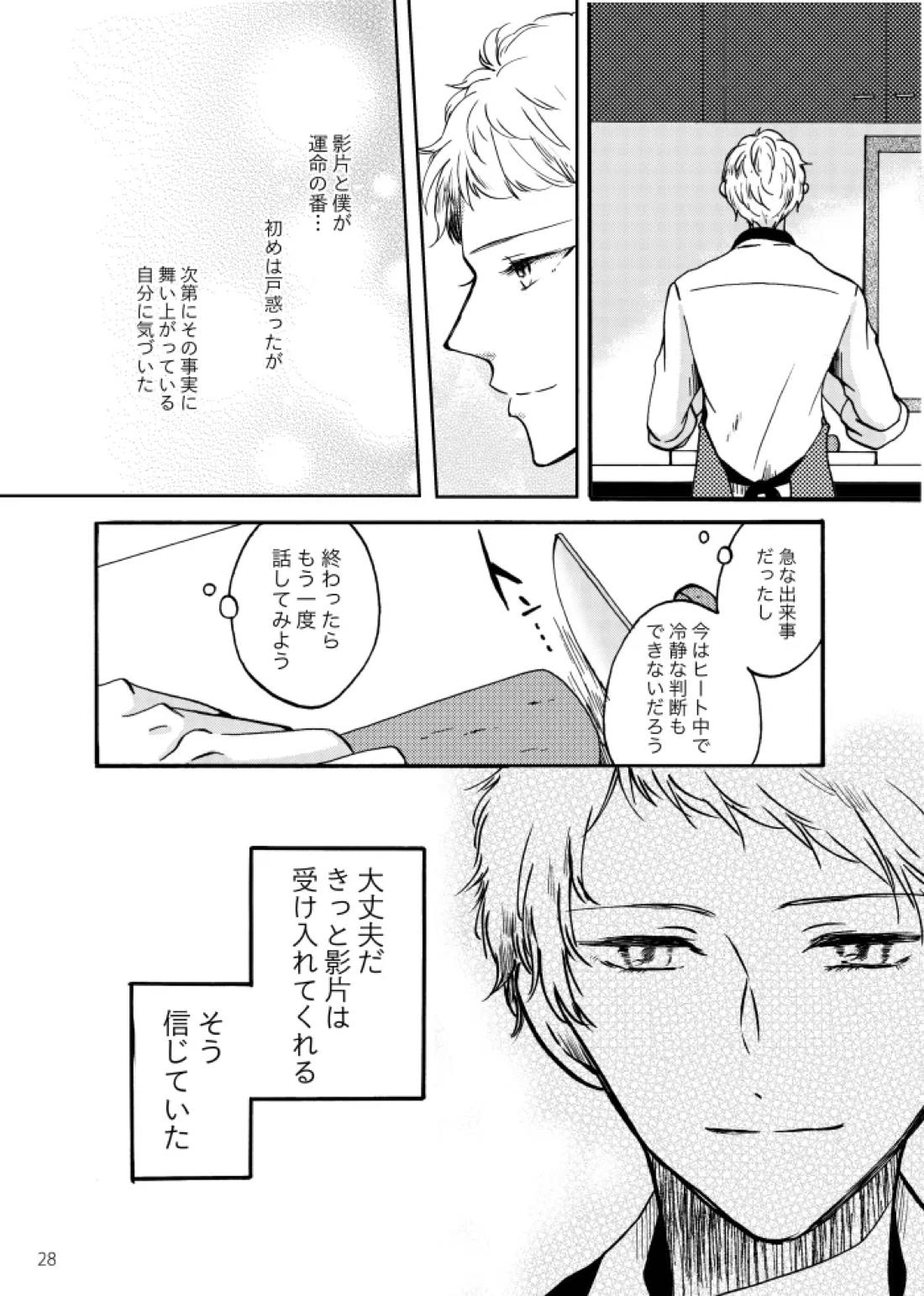 ノルニルは空を舞う【あんさんぶるスターズ!/宗みか】 page 27