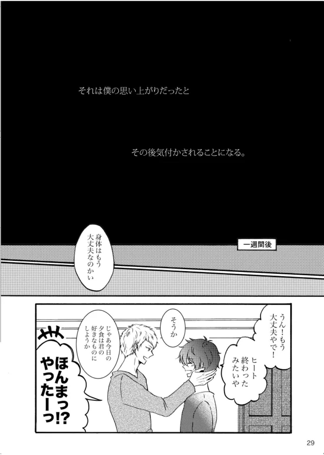 ノルニルは空を舞う【あんさんぶるスターズ!/宗みか】 page 28