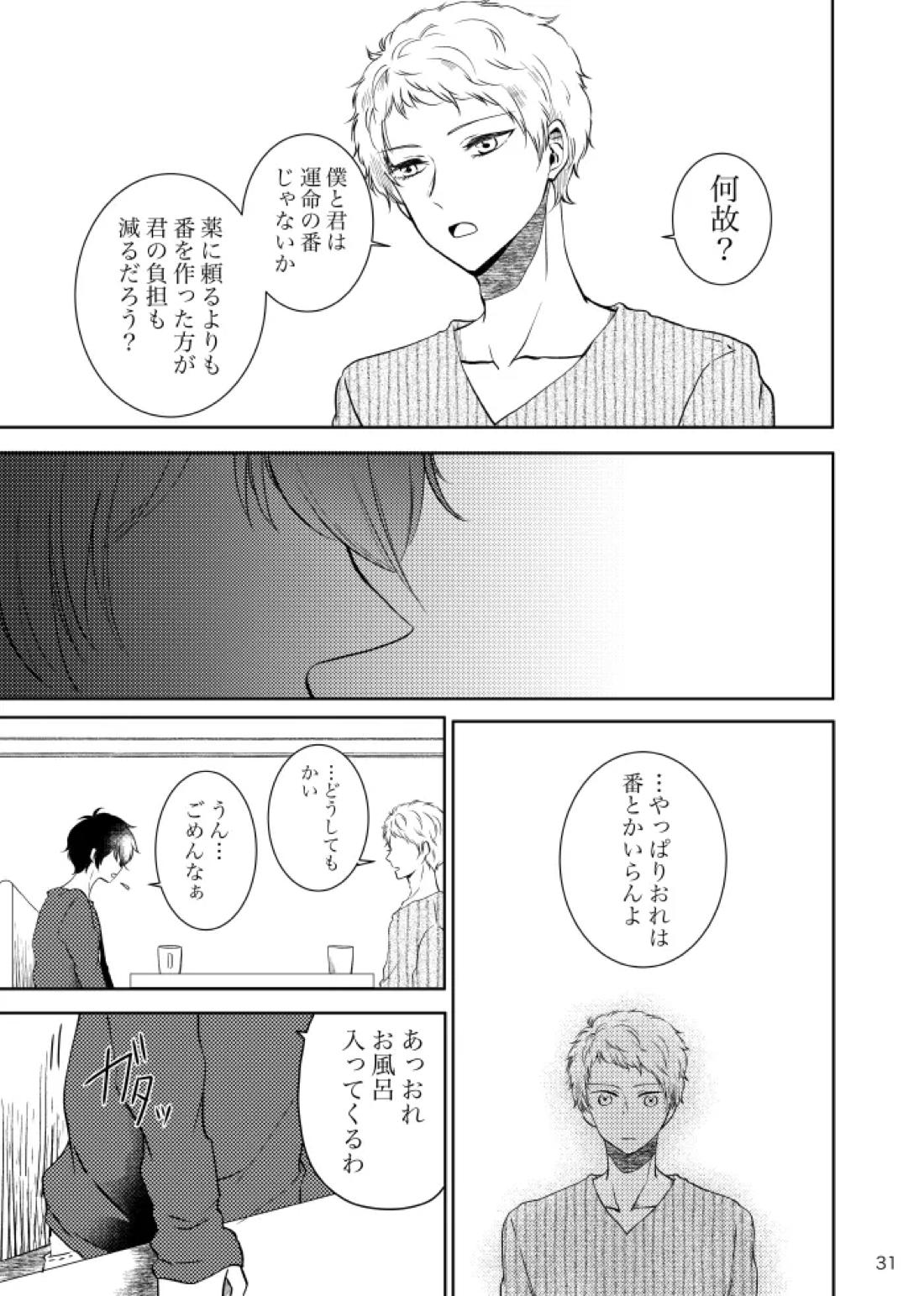 ノルニルは空を舞う【あんさんぶるスターズ!/宗みか】 page 30