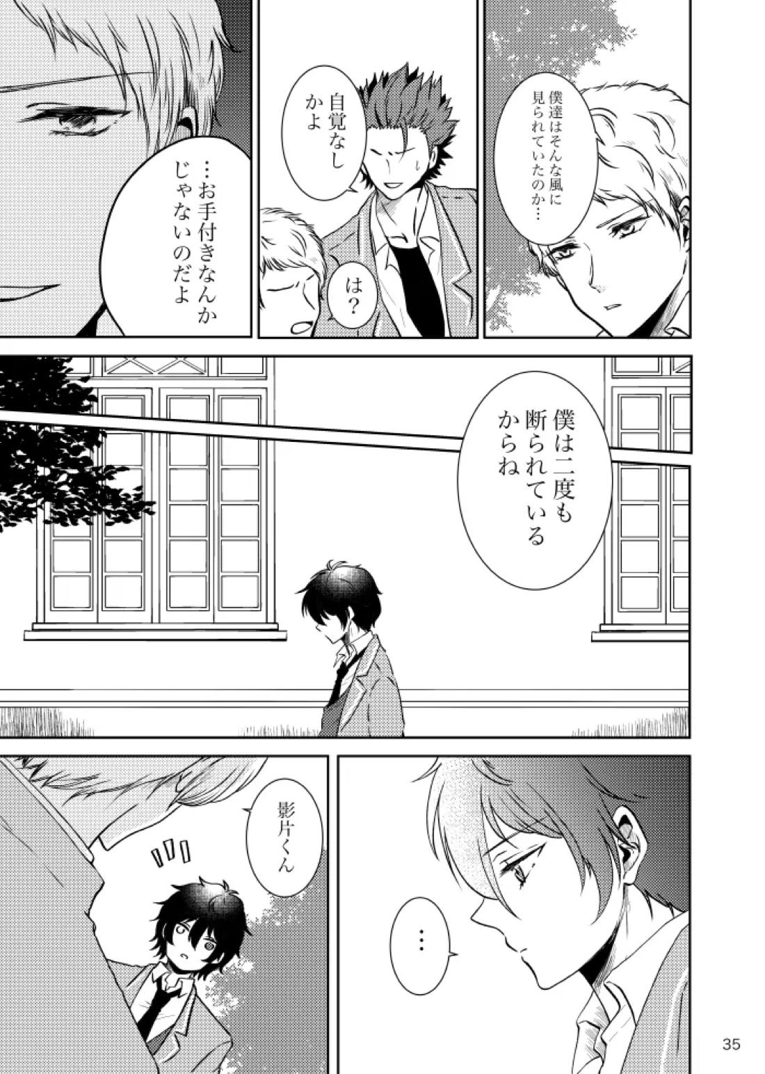 ノルニルは空を舞う【あんさんぶるスターズ!/宗みか】 page 34